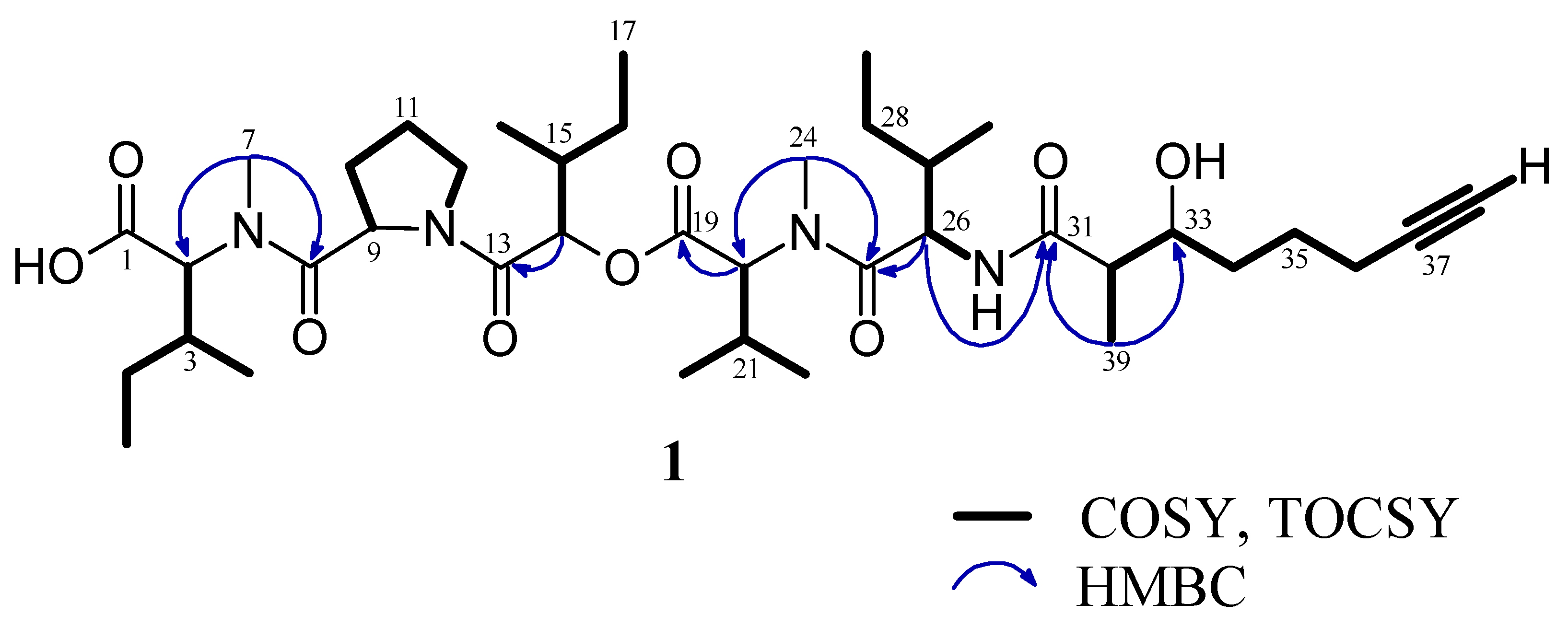 Molecules 30 00680 g002