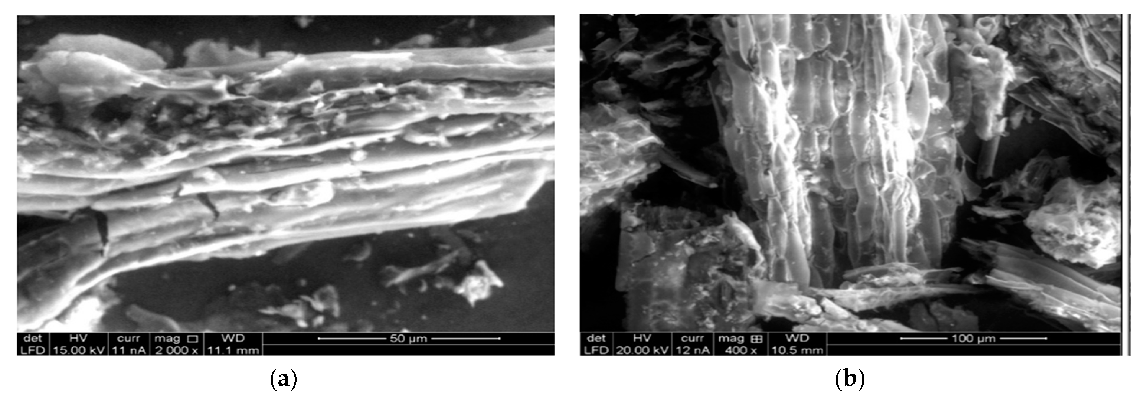 Molecules 30 00682 g002