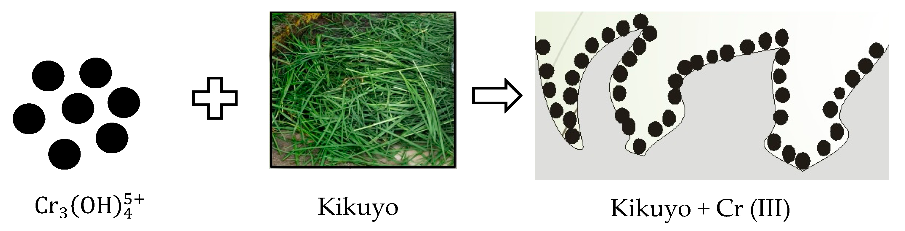 Molecules 30 00682 g003