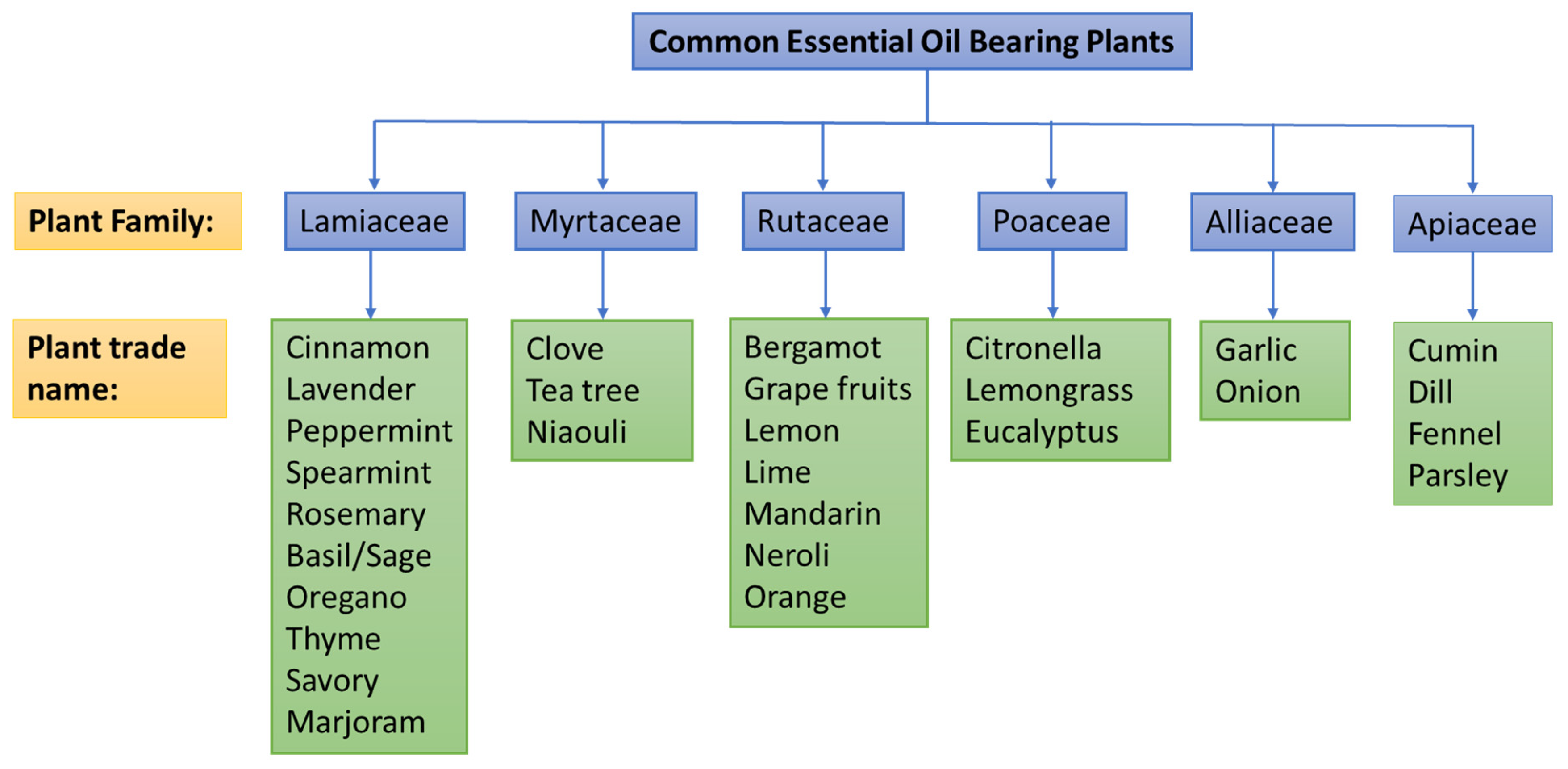 Molecules 30 00683 g002 Molecules 30 00683 g002