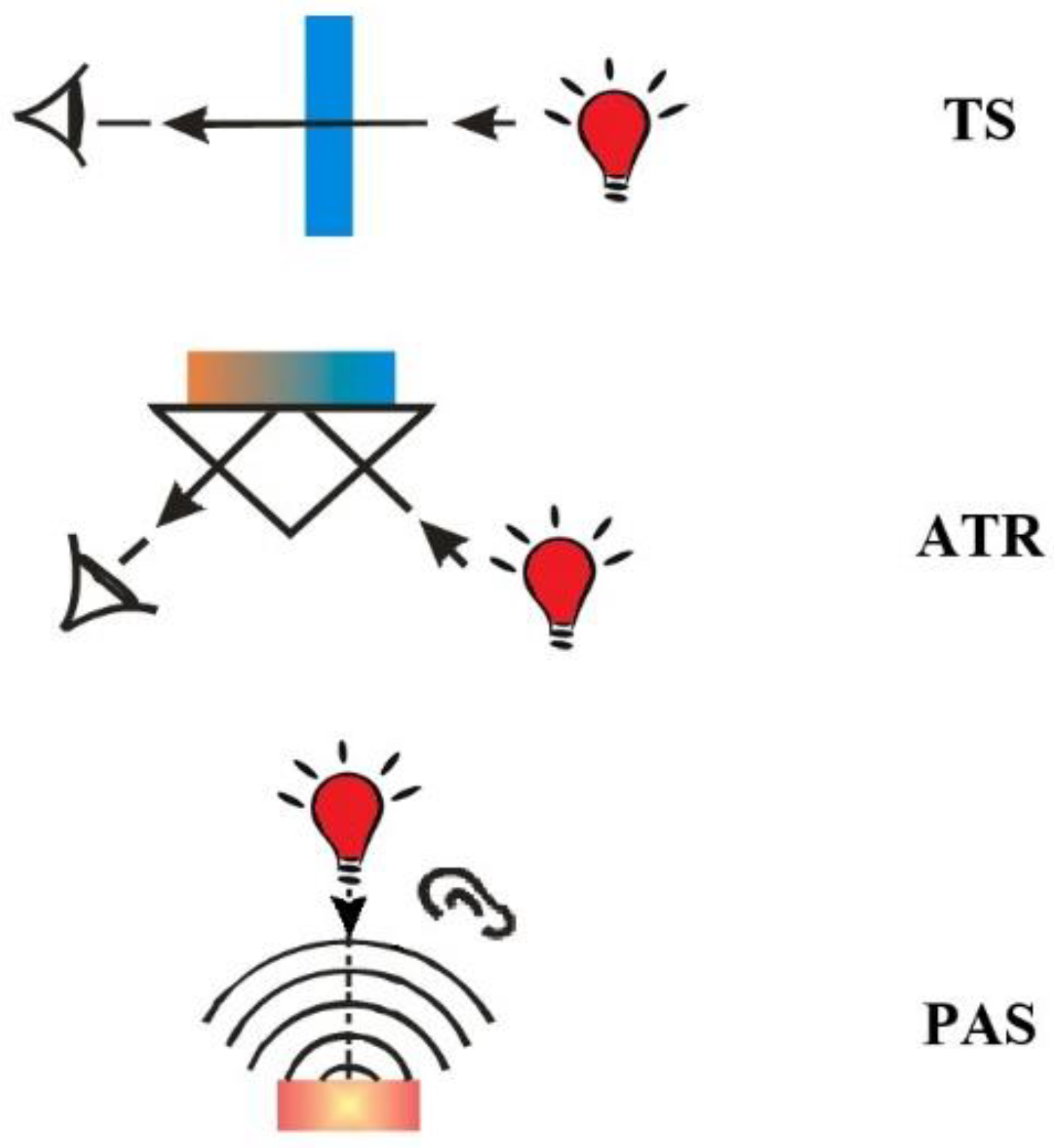 Molecules 30 00684 g001