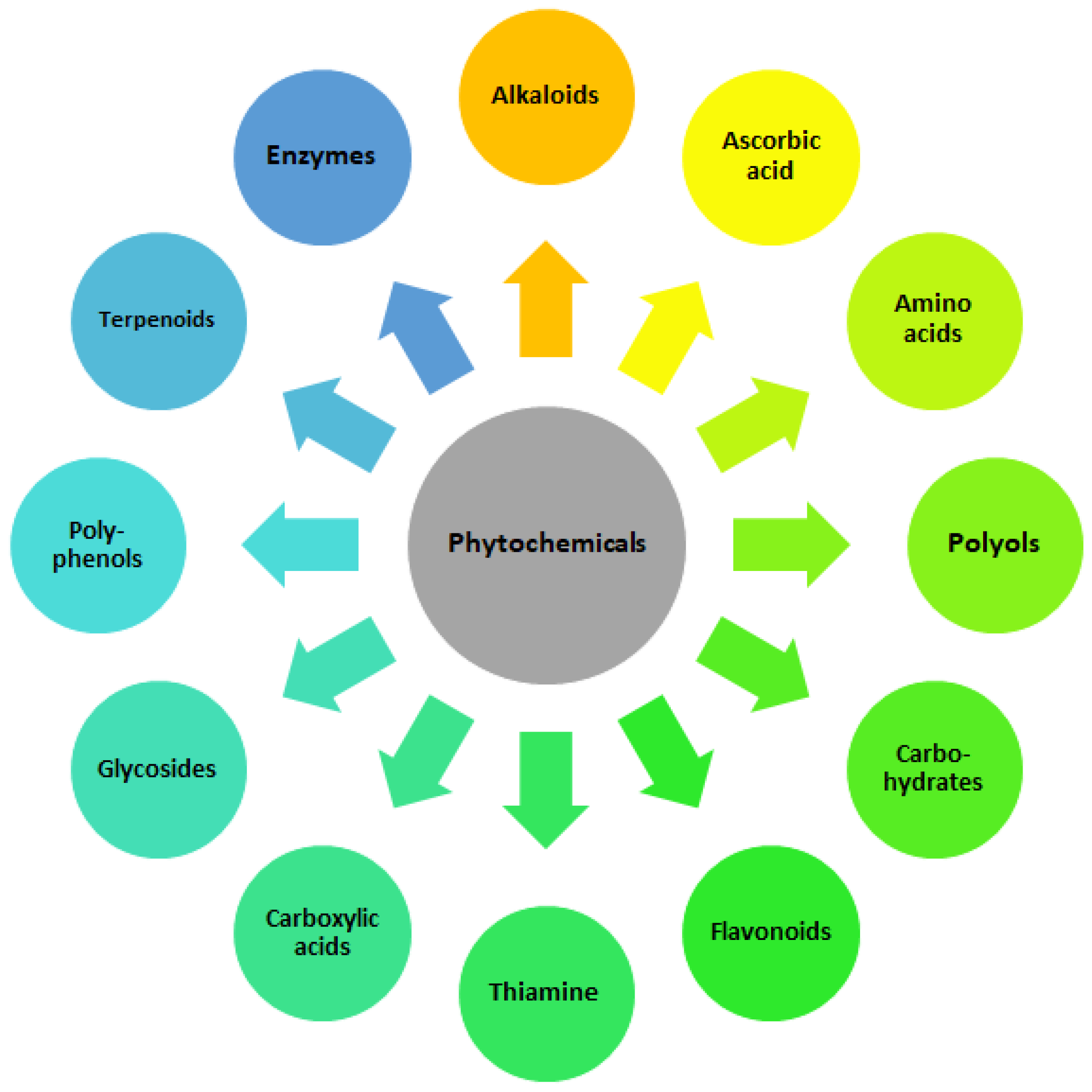 Molecules 30 00684 g002