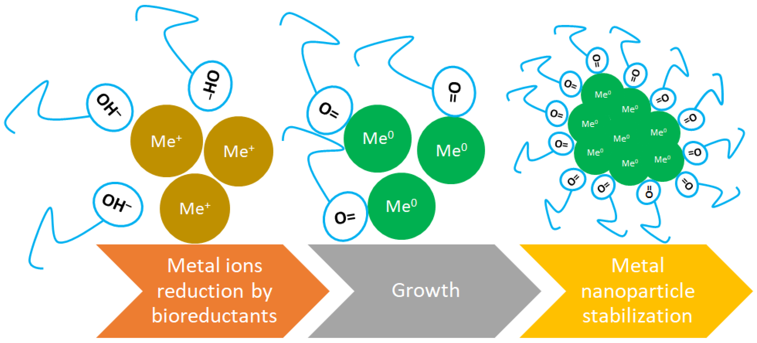 Molecules 30 00684 g003