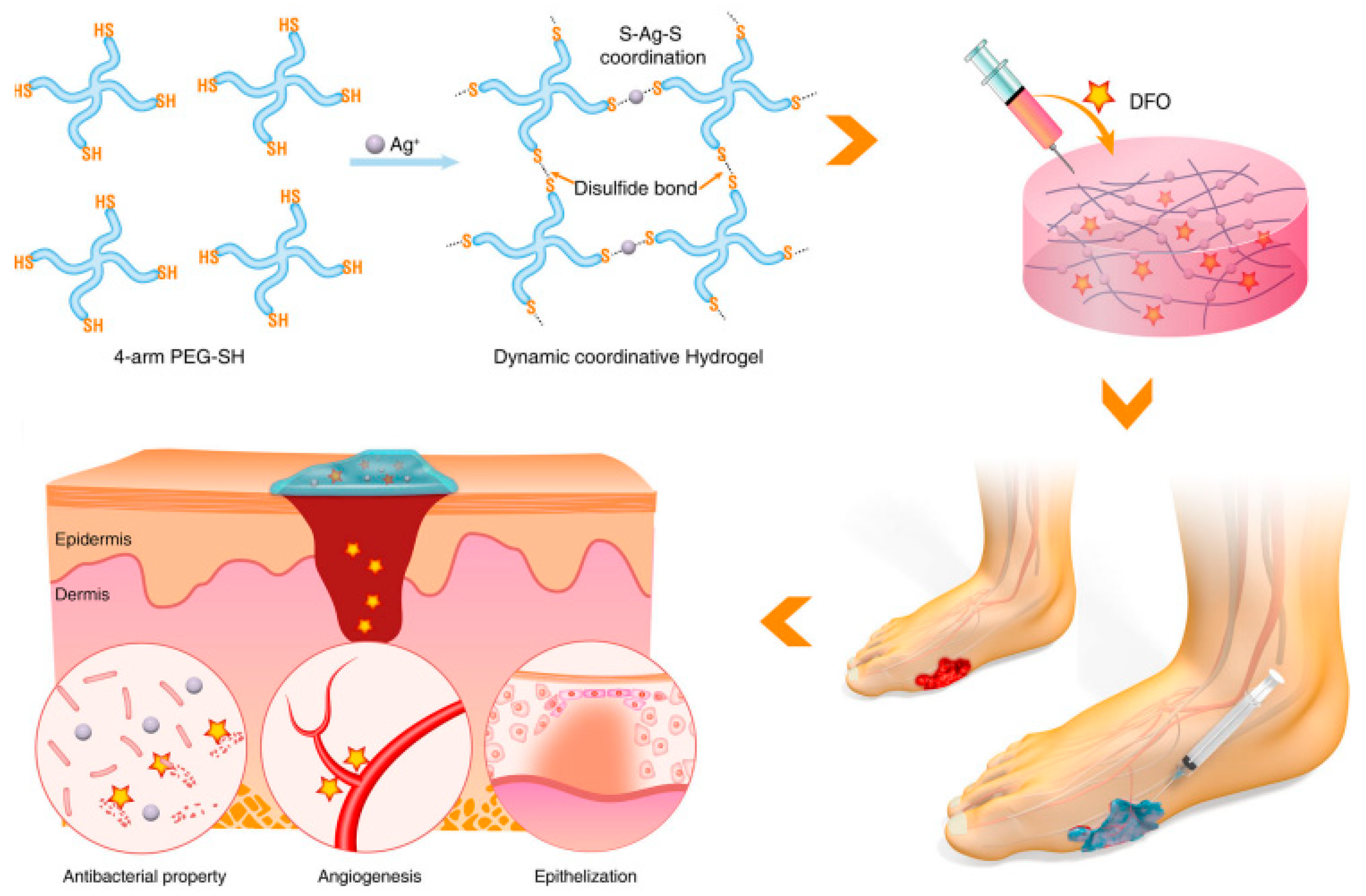 Molecules 30 00686 g004