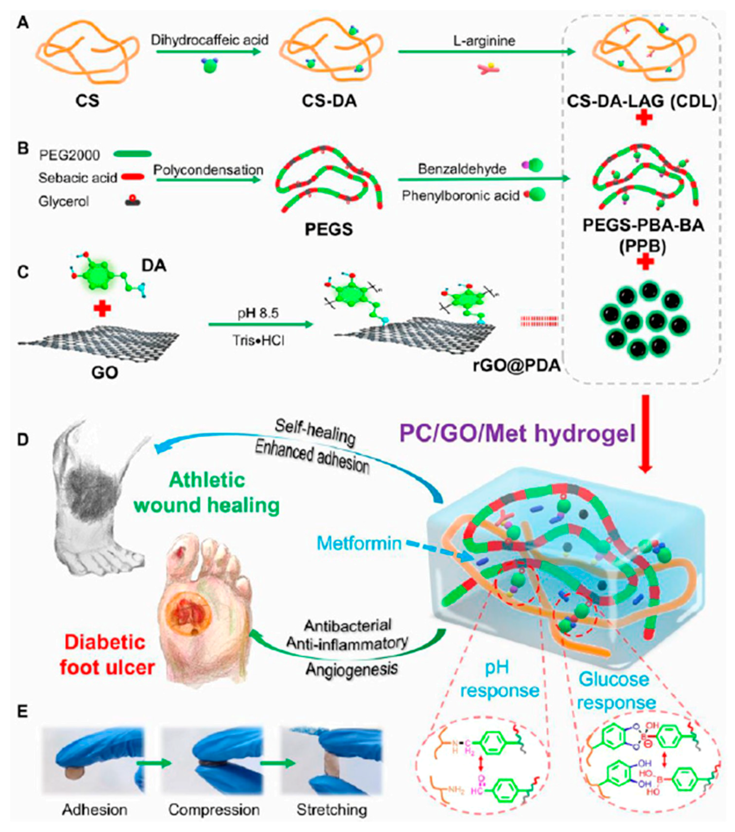 Molecules 30 00686 g008