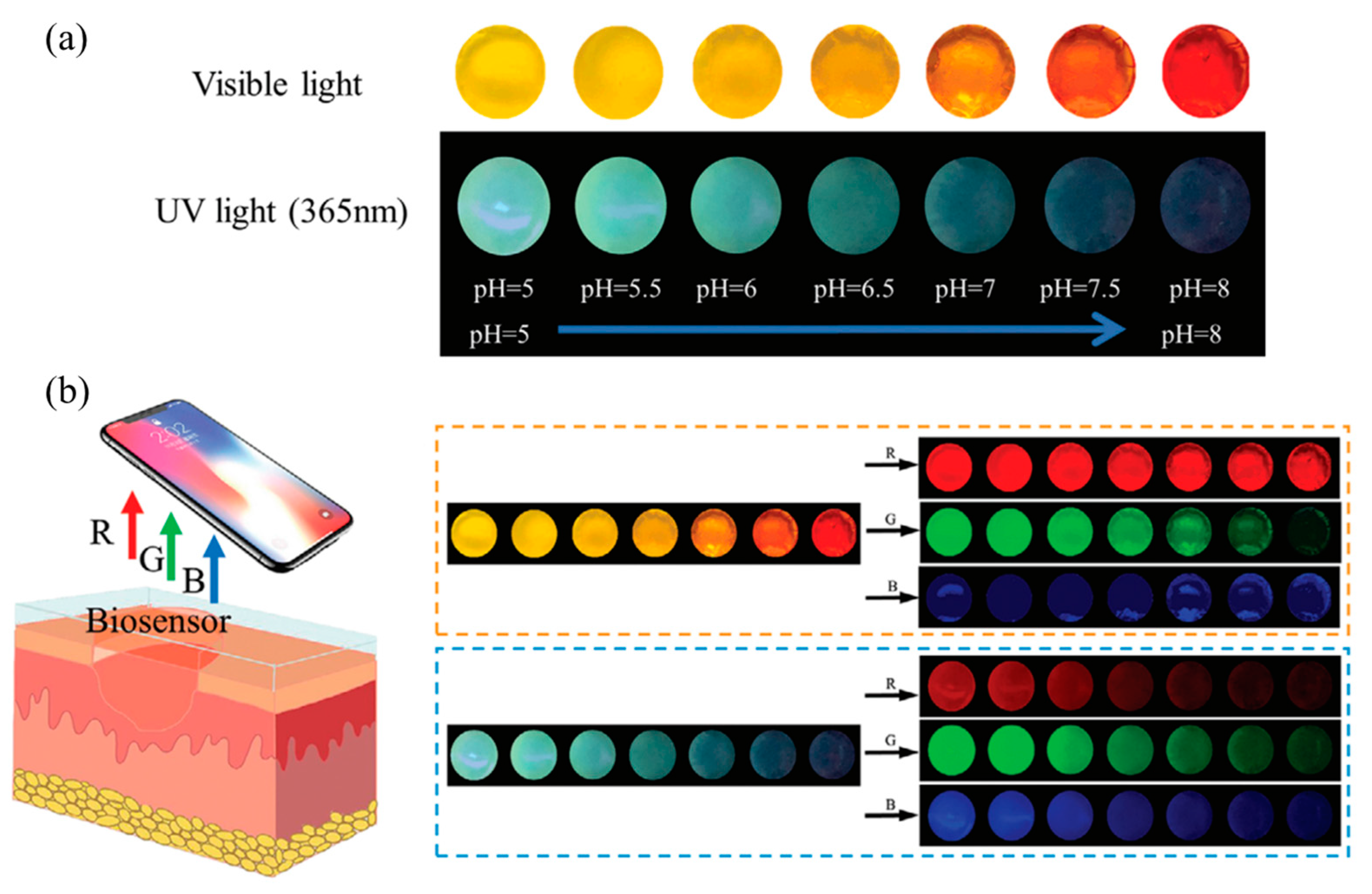 Molecules 30 00686 g010