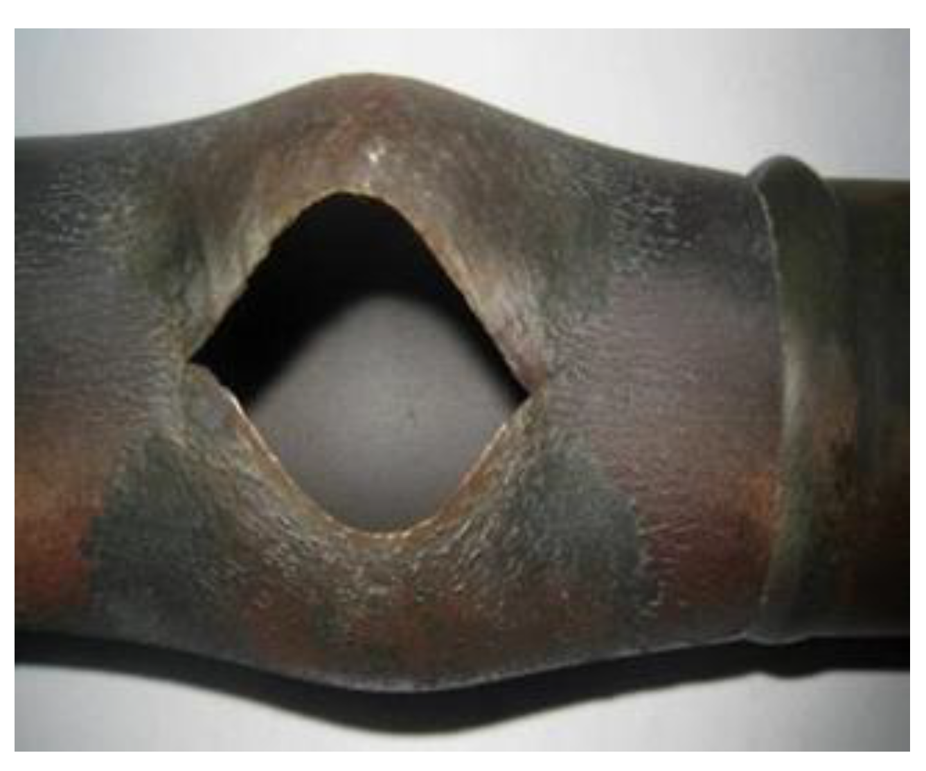 Molecules 30 00689 g002