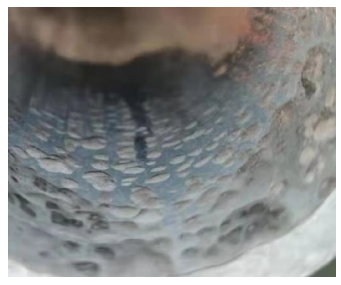 Molecules 30 00689 g005