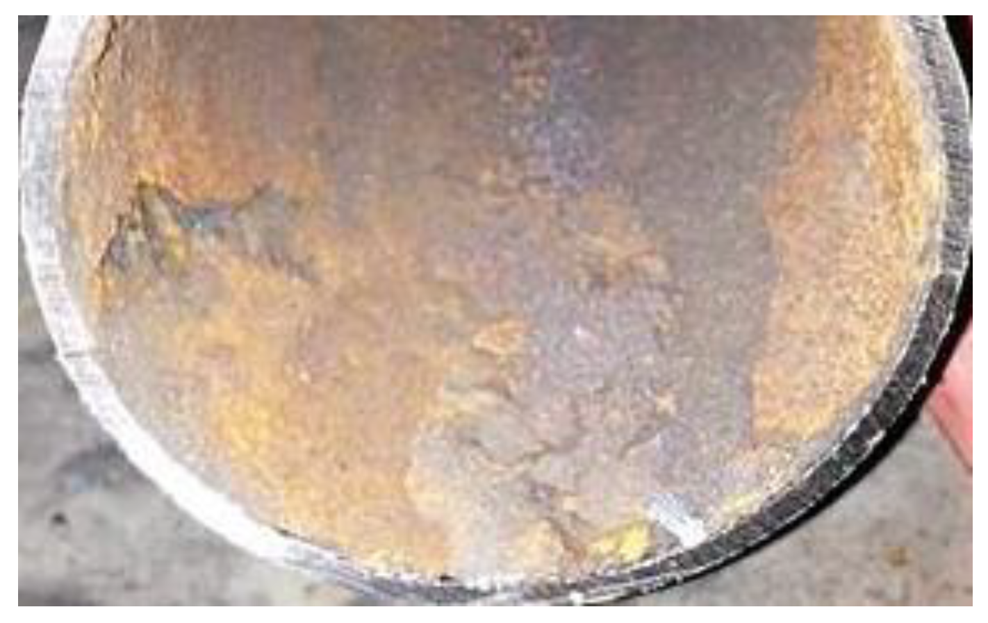 Molecules 30 00689 g006