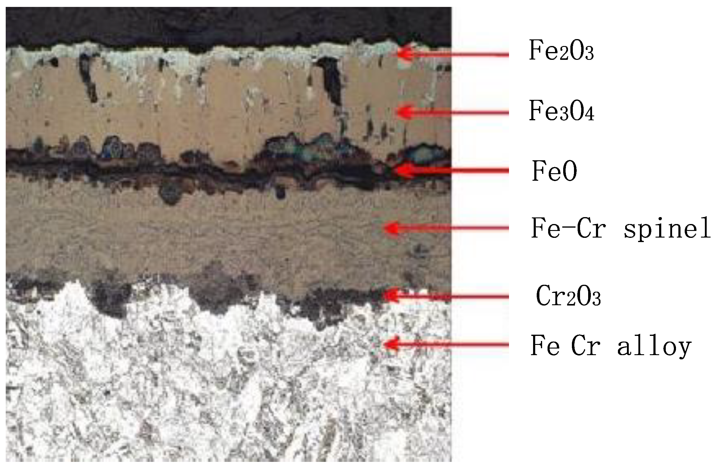 Molecules 30 00689 g008