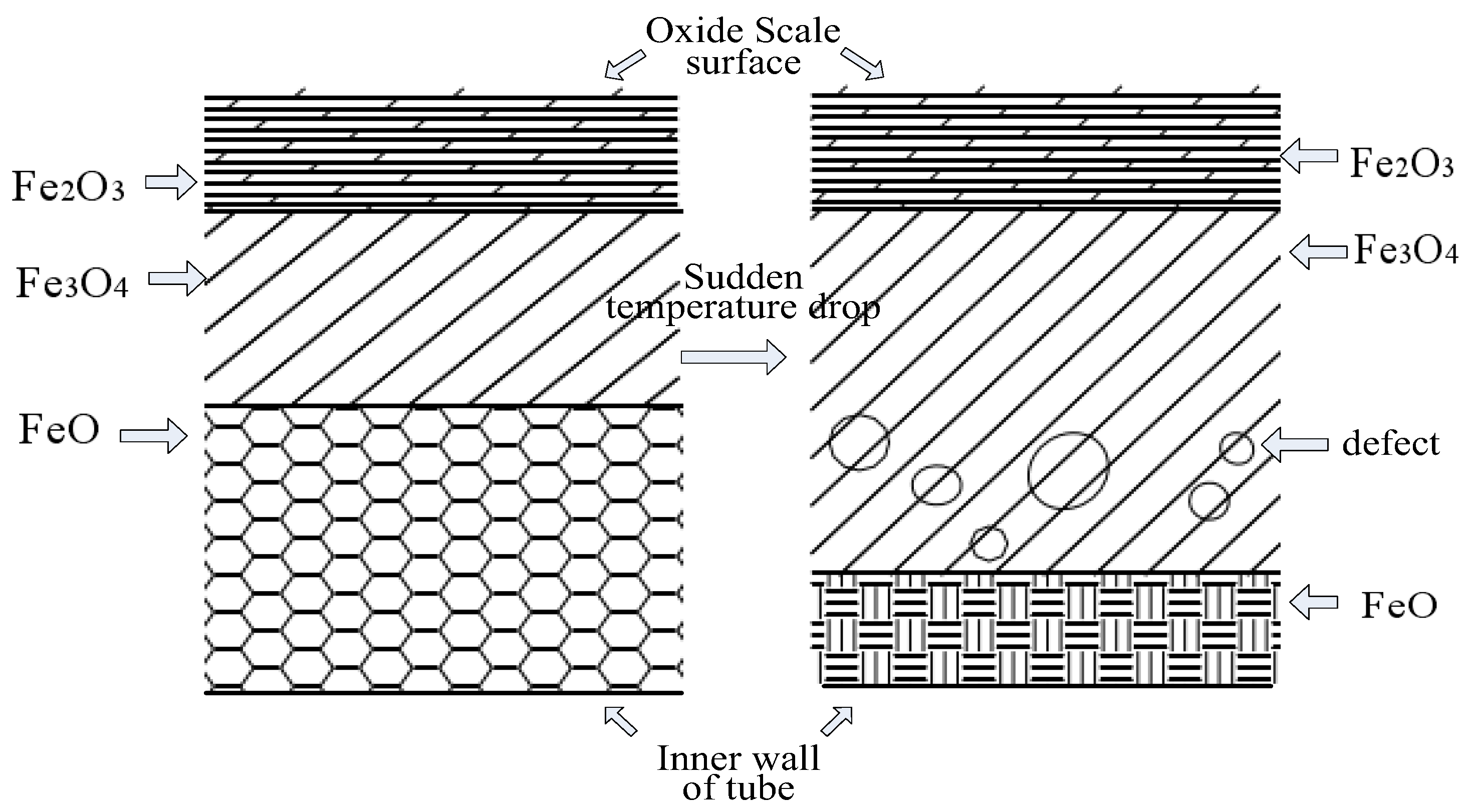 Molecules 30 00689 g010