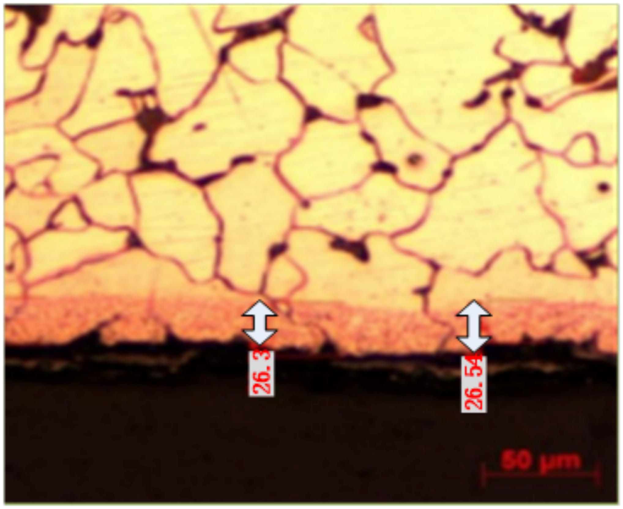 Molecules 30 00689 g013
