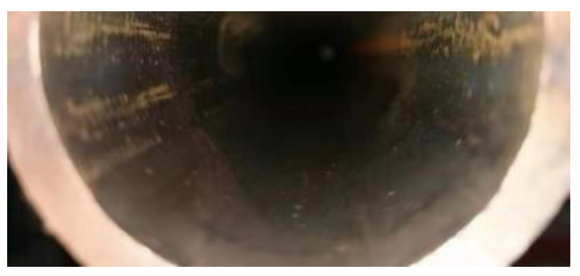 Molecules 30 00689 g015