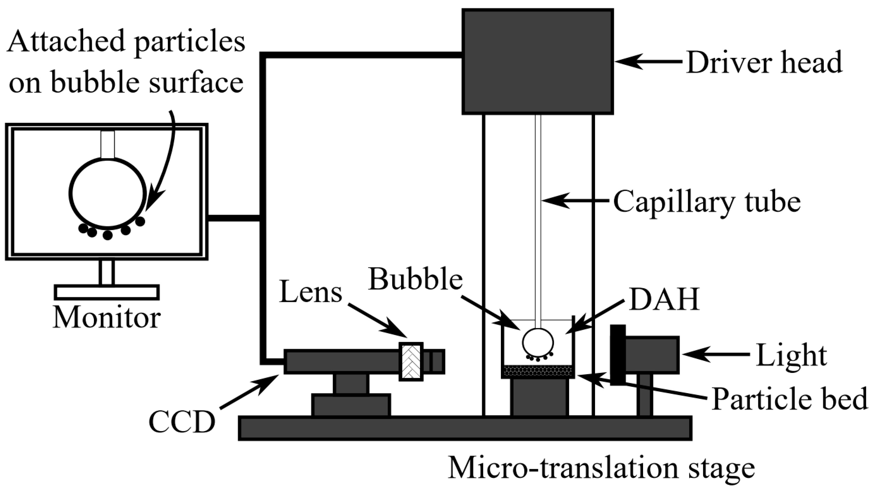 Molecules 30 00695 g016