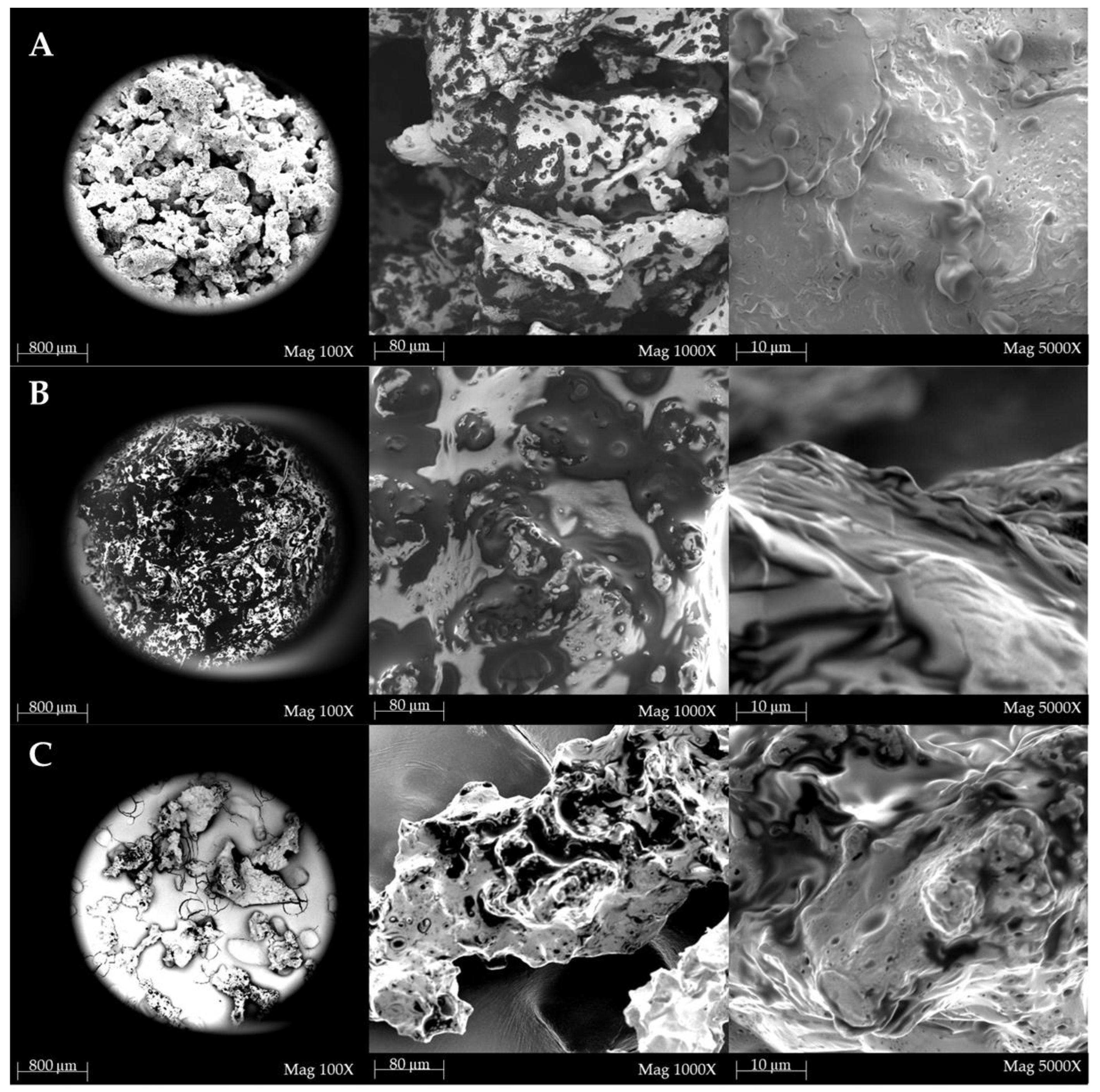 Molecules 30 00698 g002