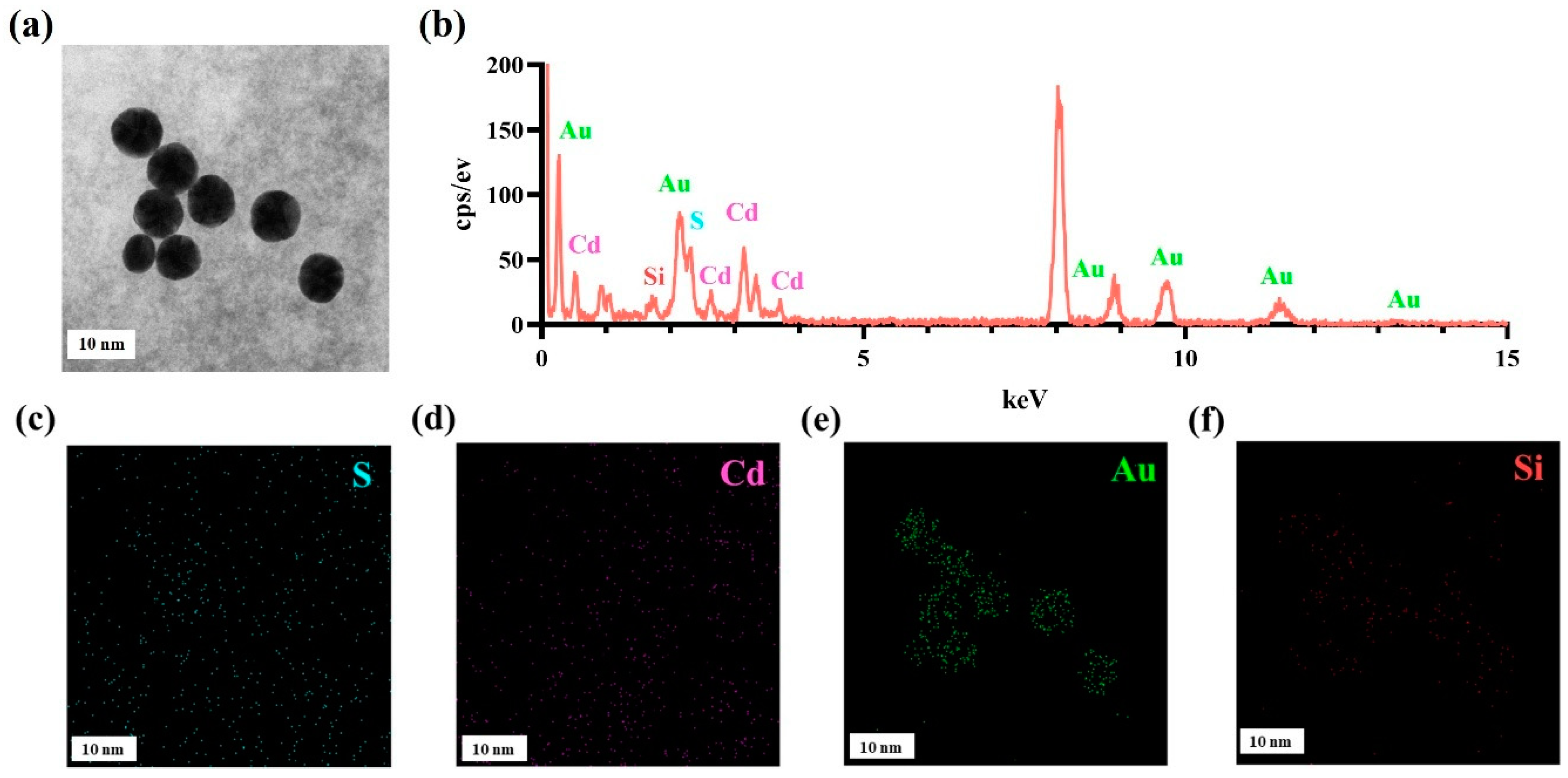Molecules 30 00699 g006