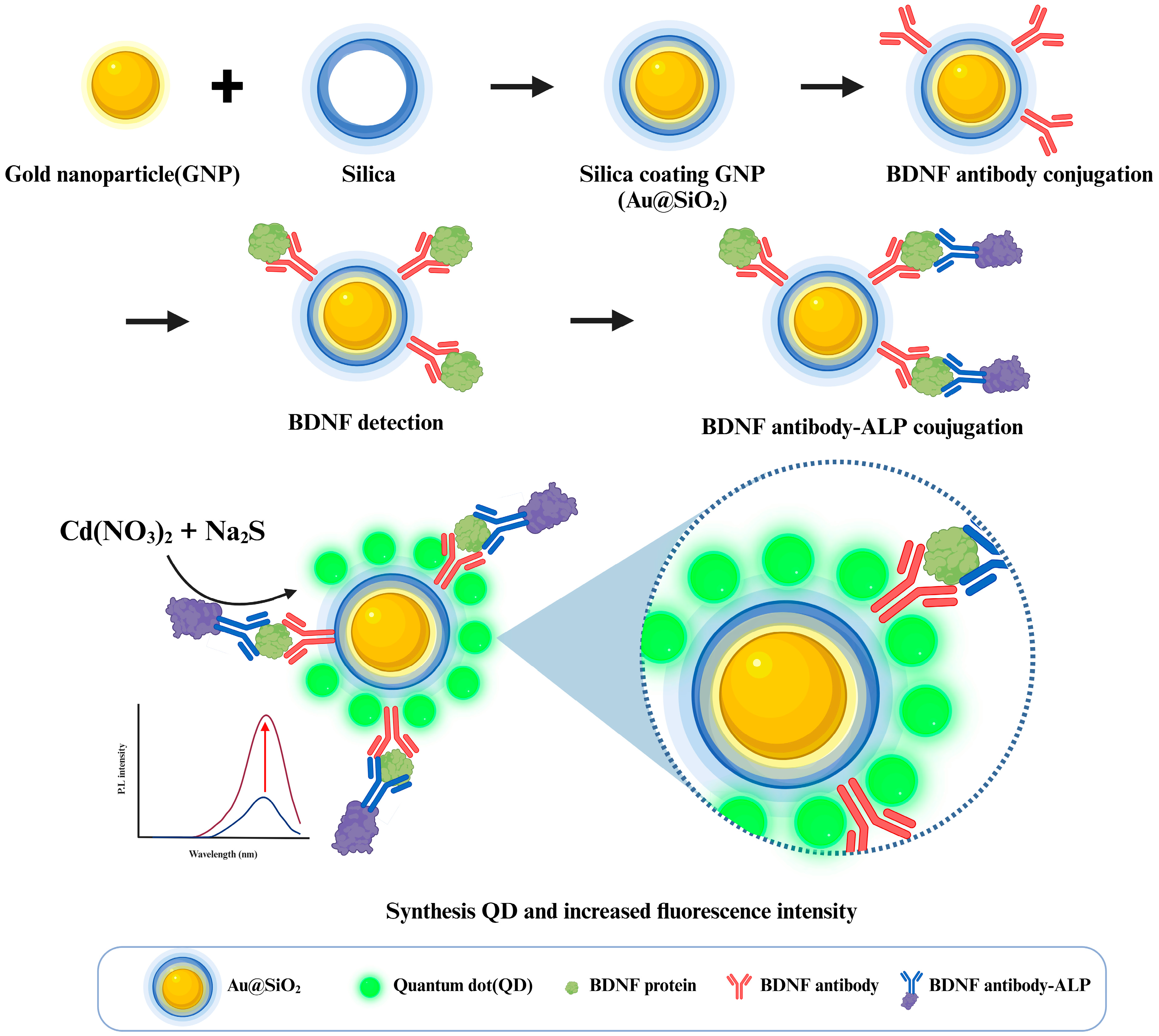 Molecules 30 00699 sch001