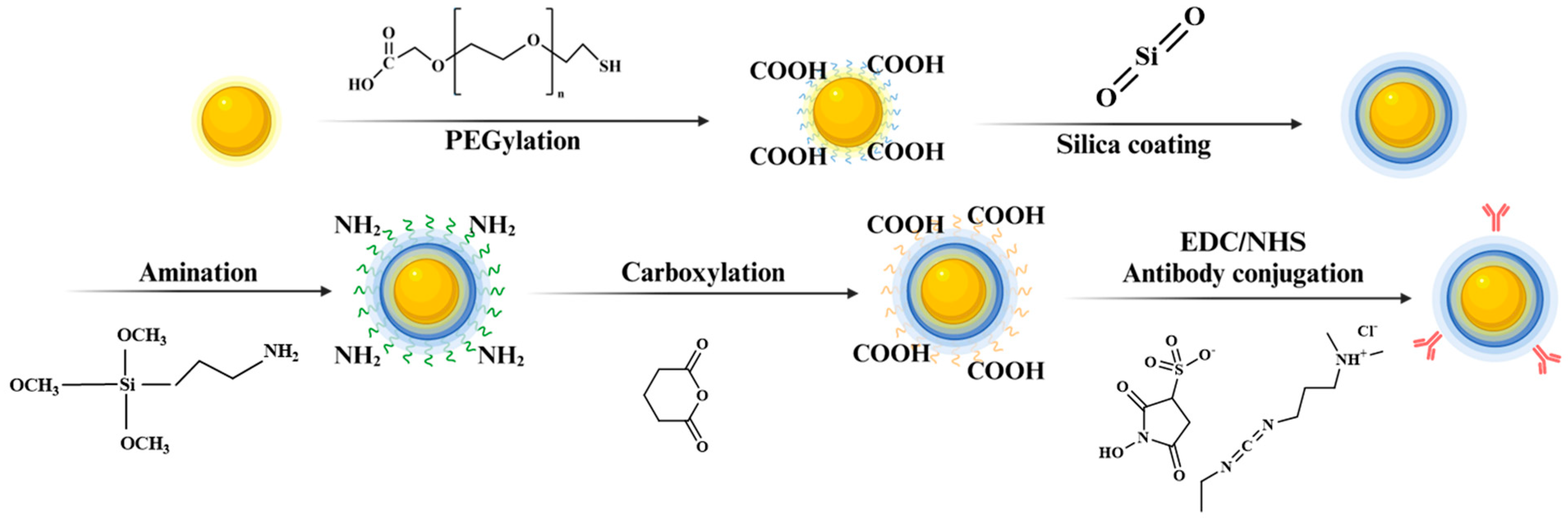 Molecules 30 00699 sch002