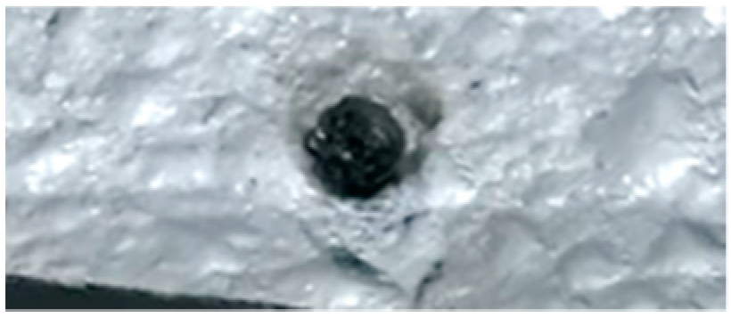 Molecules 30 00700 g004