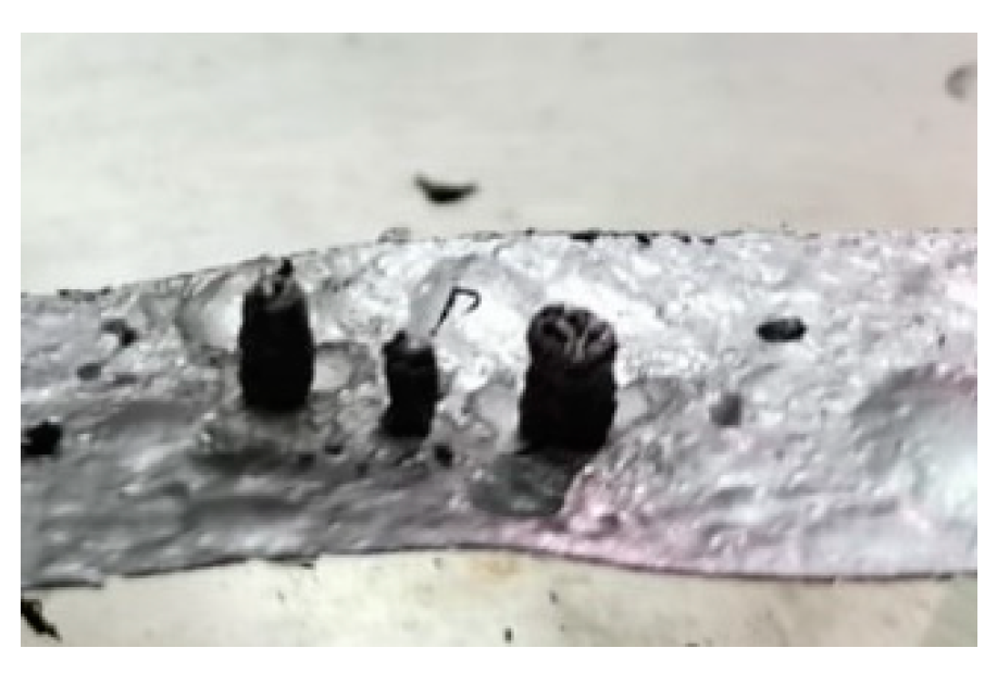 Molecules 30 00700 g010