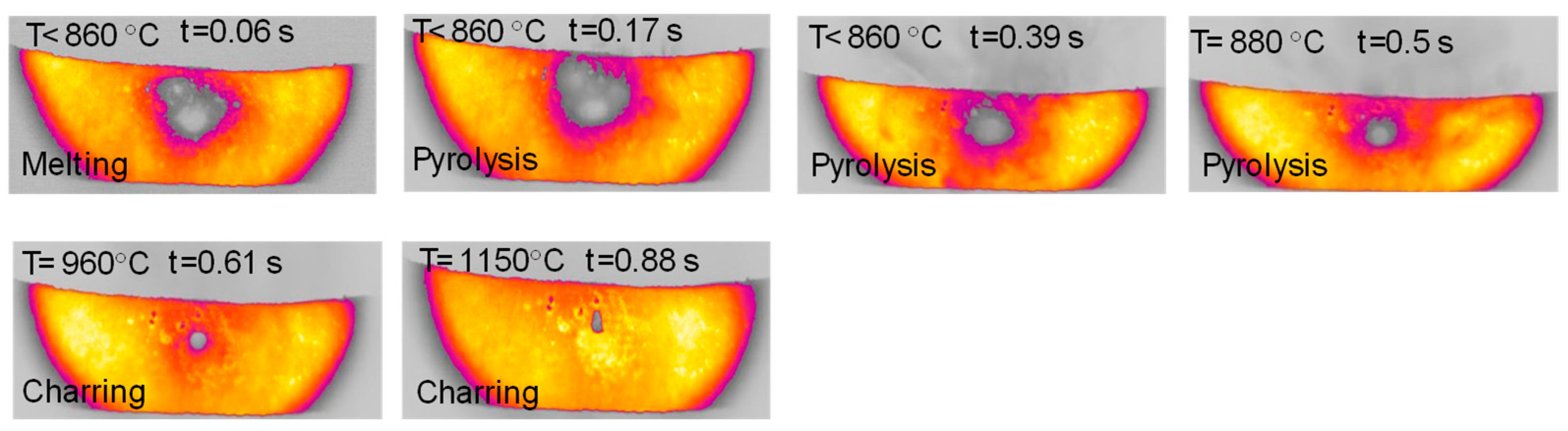 Molecules 30 00700 g012