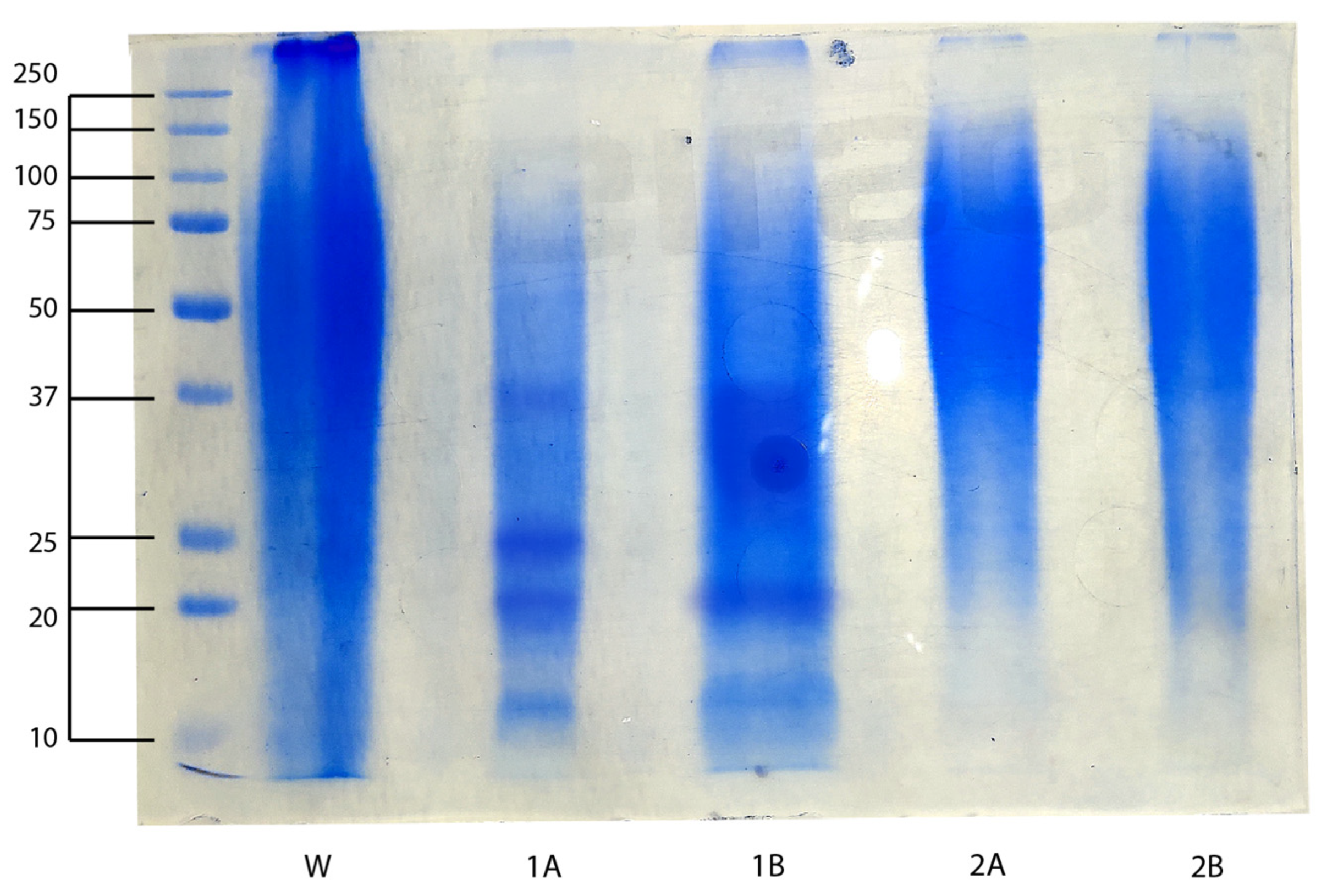Molecules 30 00715 g001