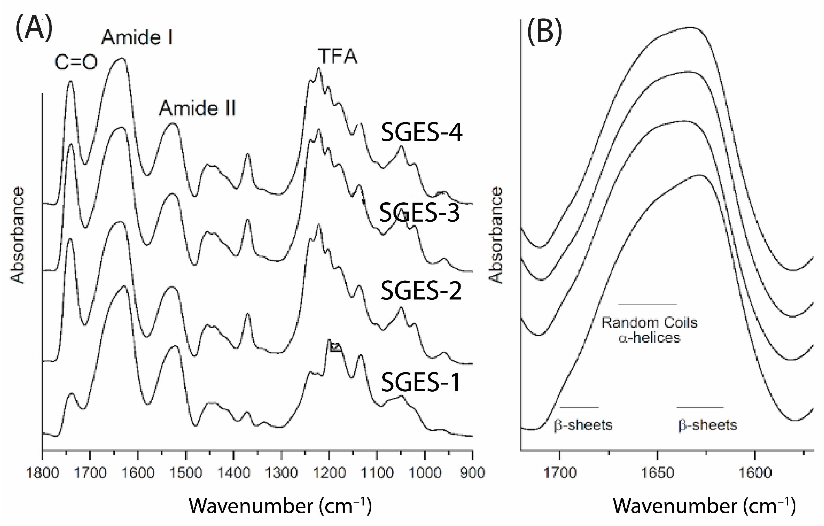 Molecules 30 00715 g004