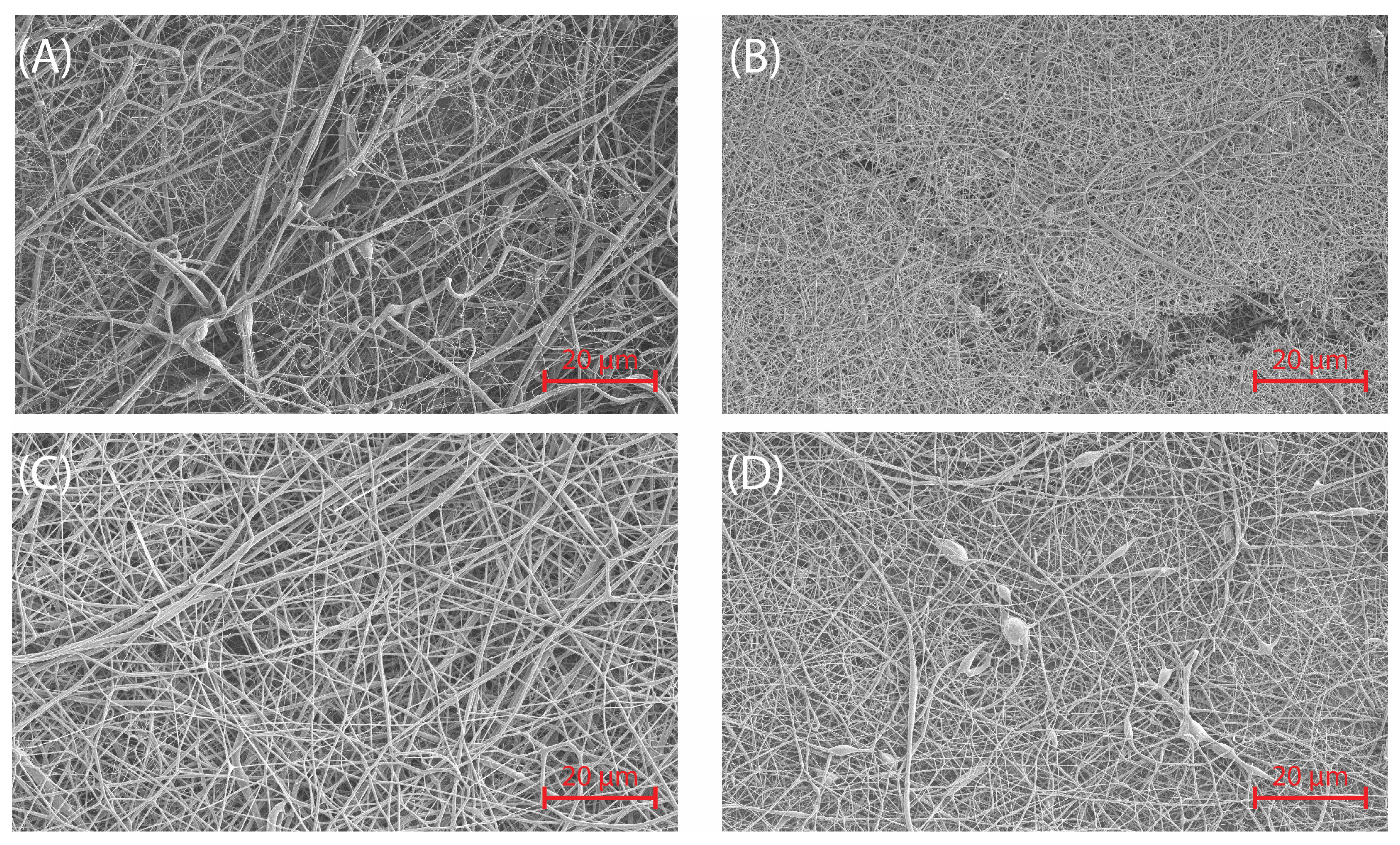 Molecules 30 00715 g007