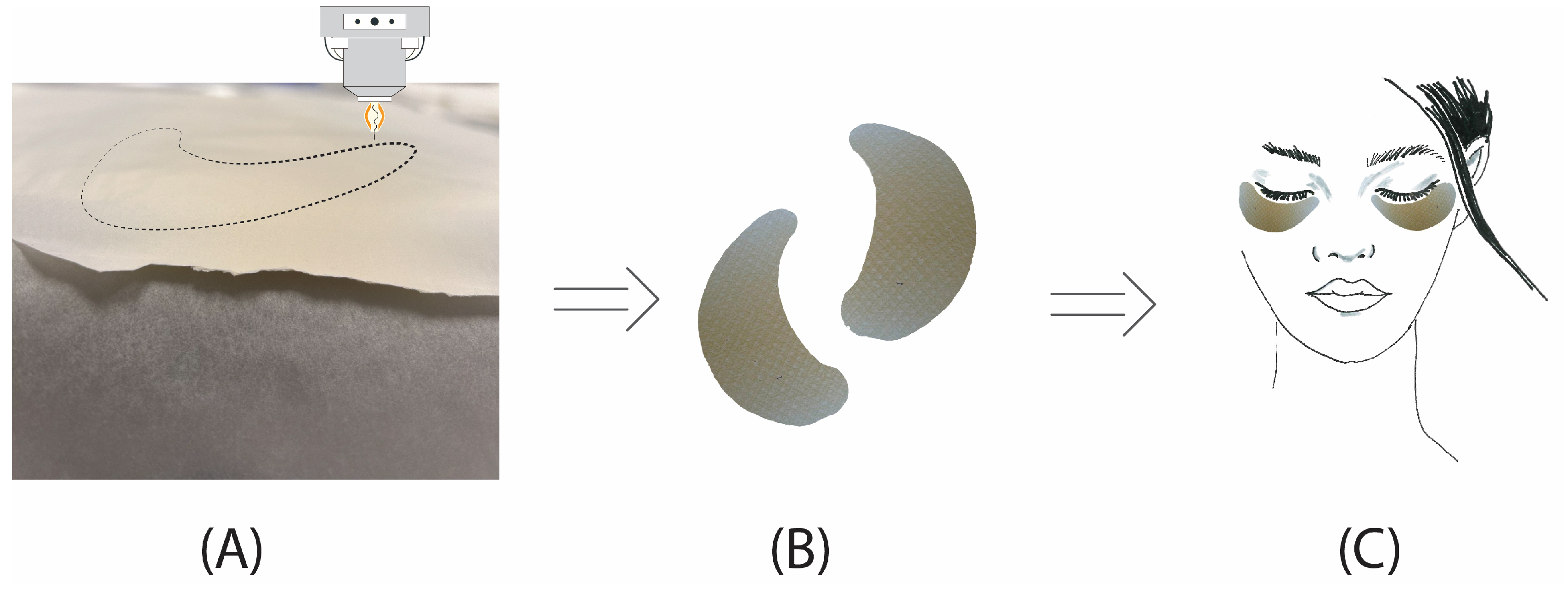 Molecules 30 00715 g009
