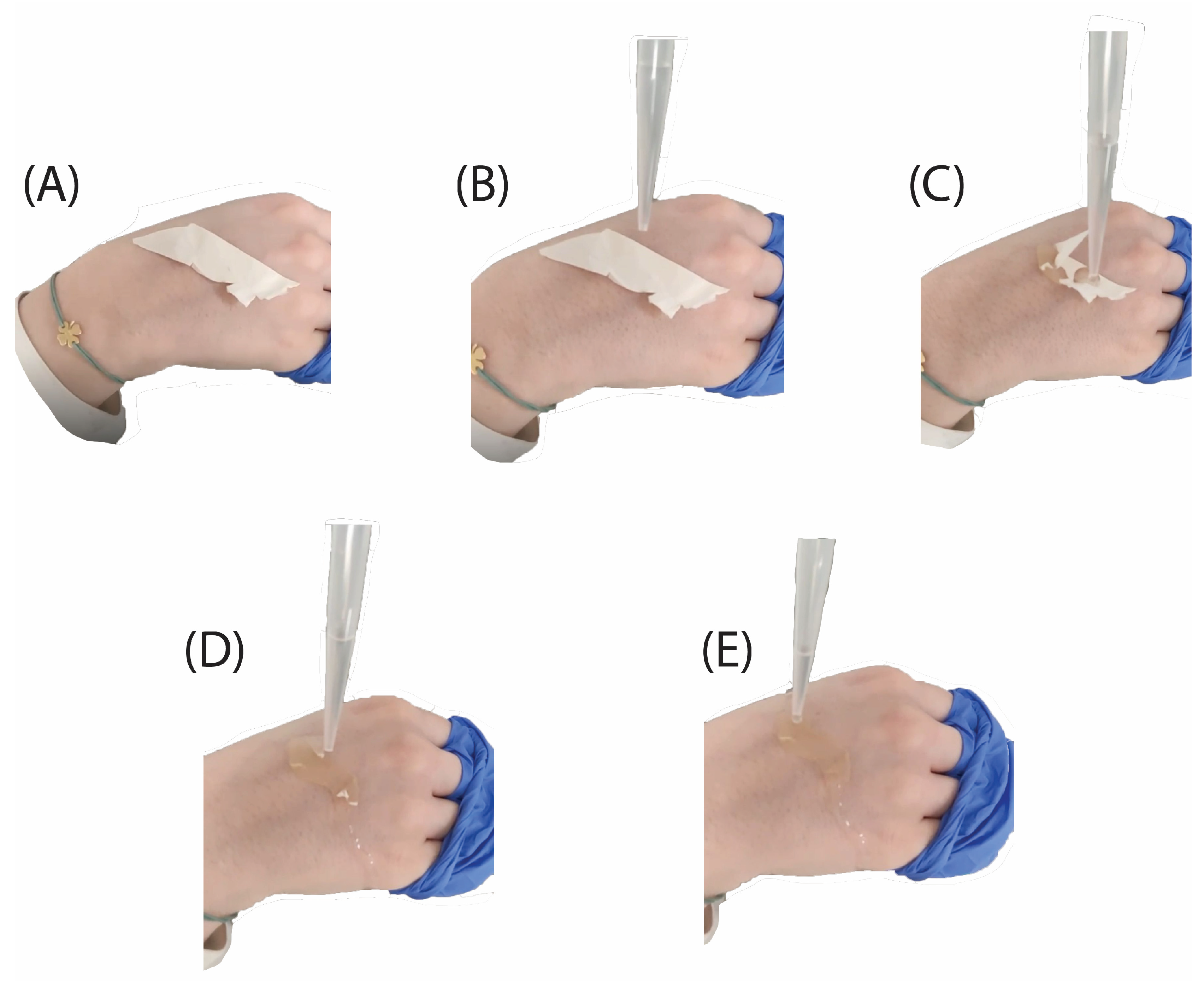 Molecules 30 00715 g010