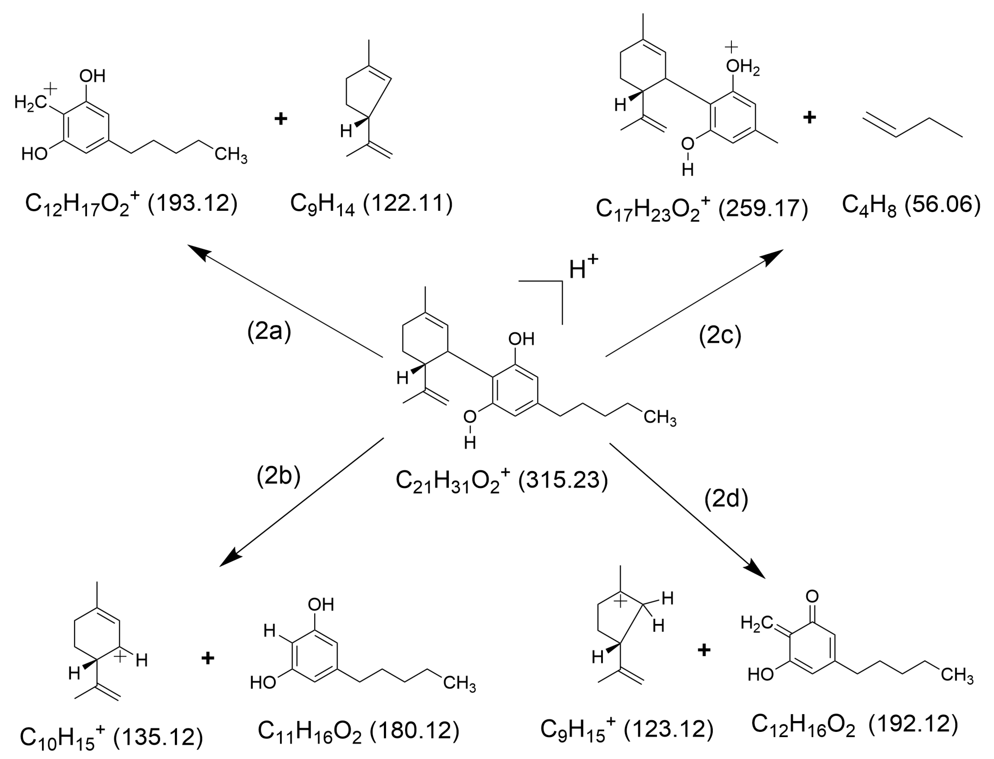 Molecules 30 00717 g002