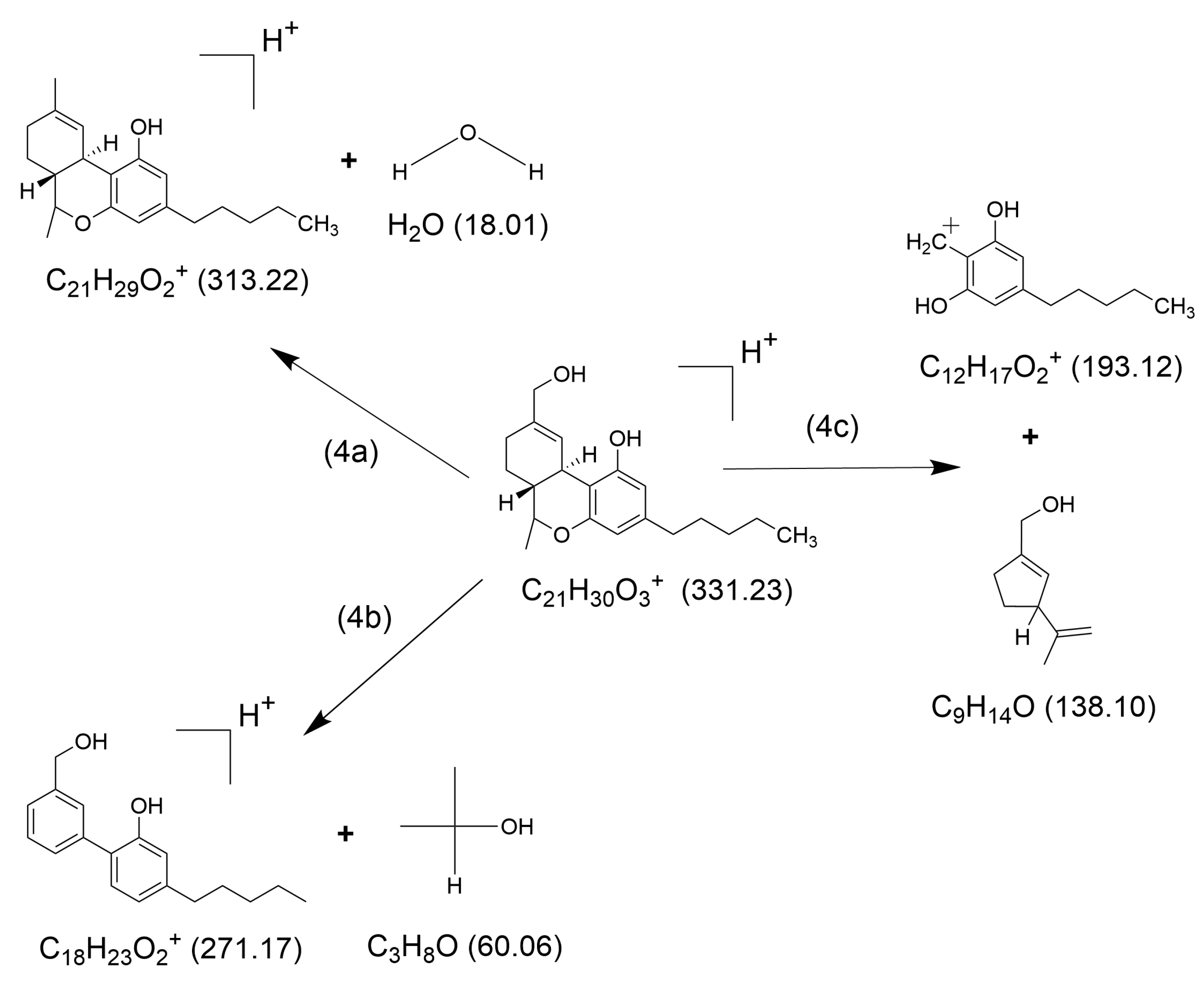 Molecules 30 00717 g004