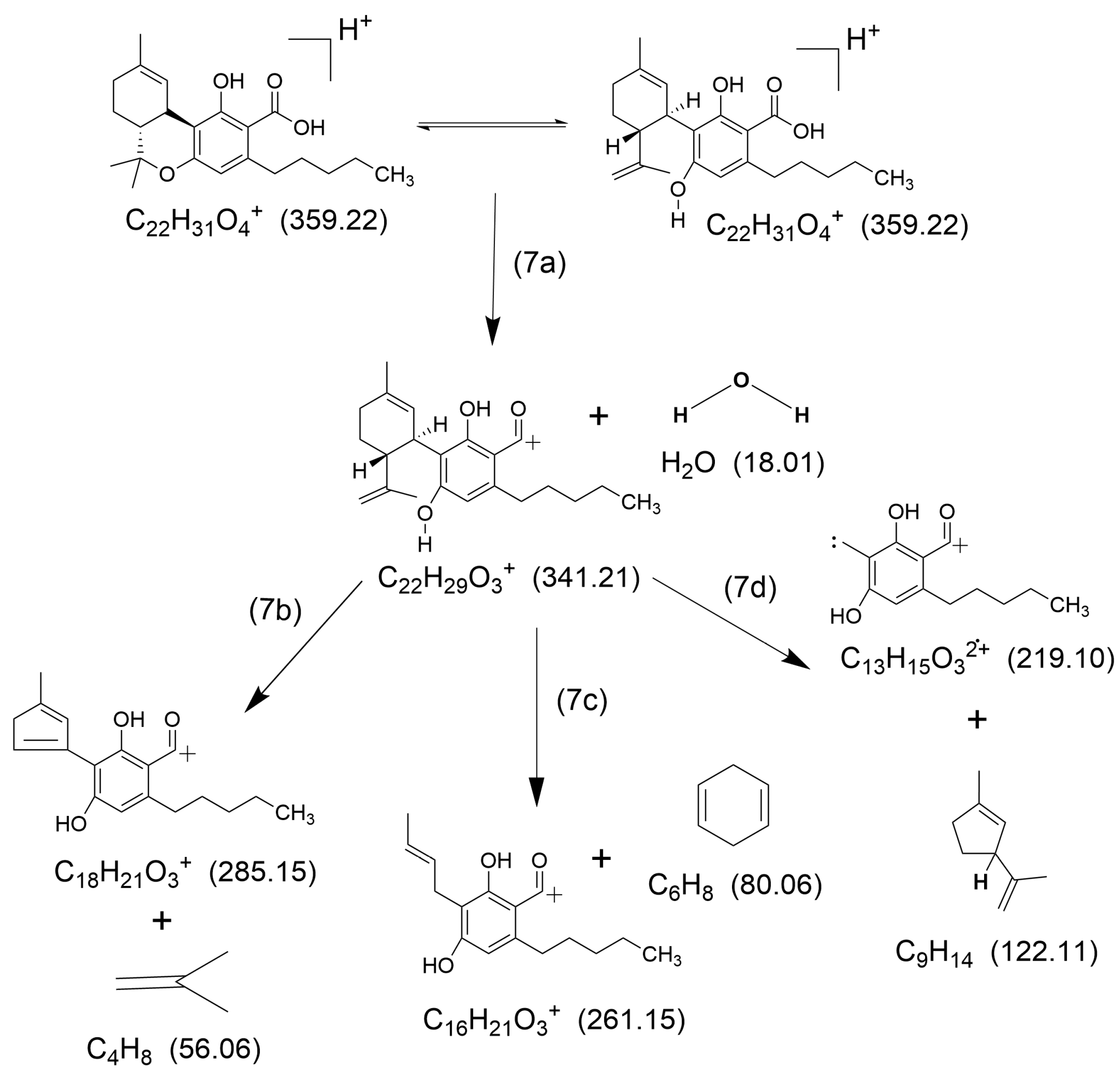 Molecules 30 00717 g007