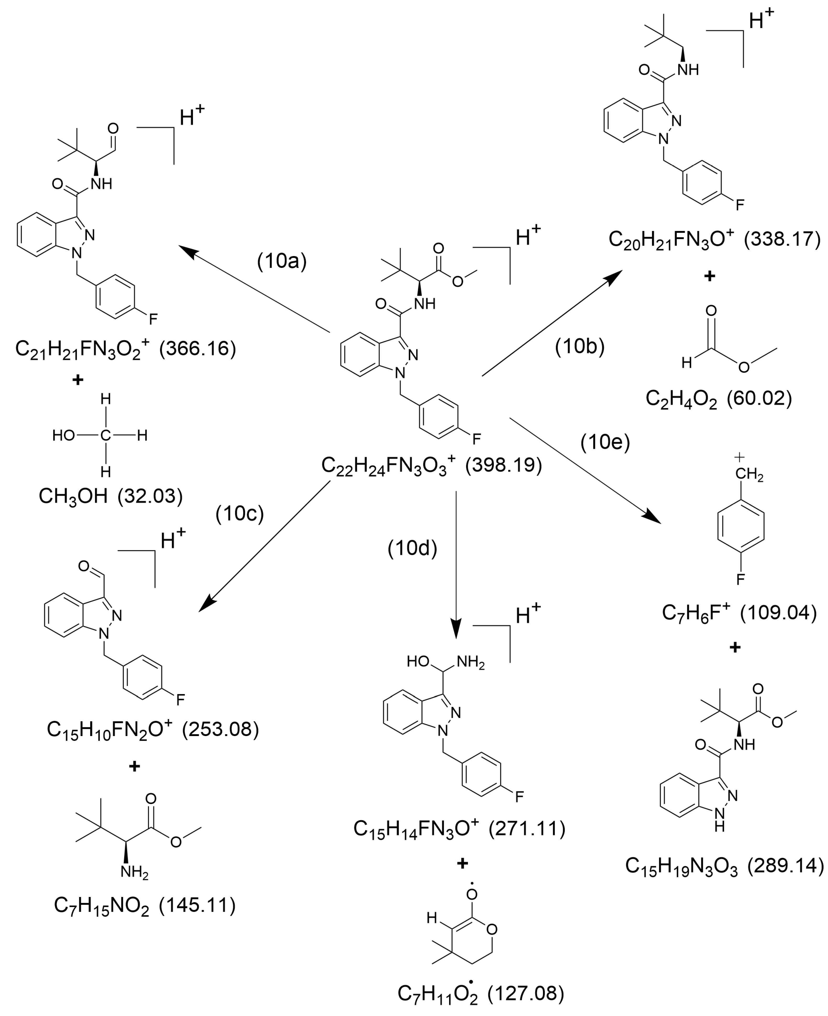 Molecules 30 00717 g010