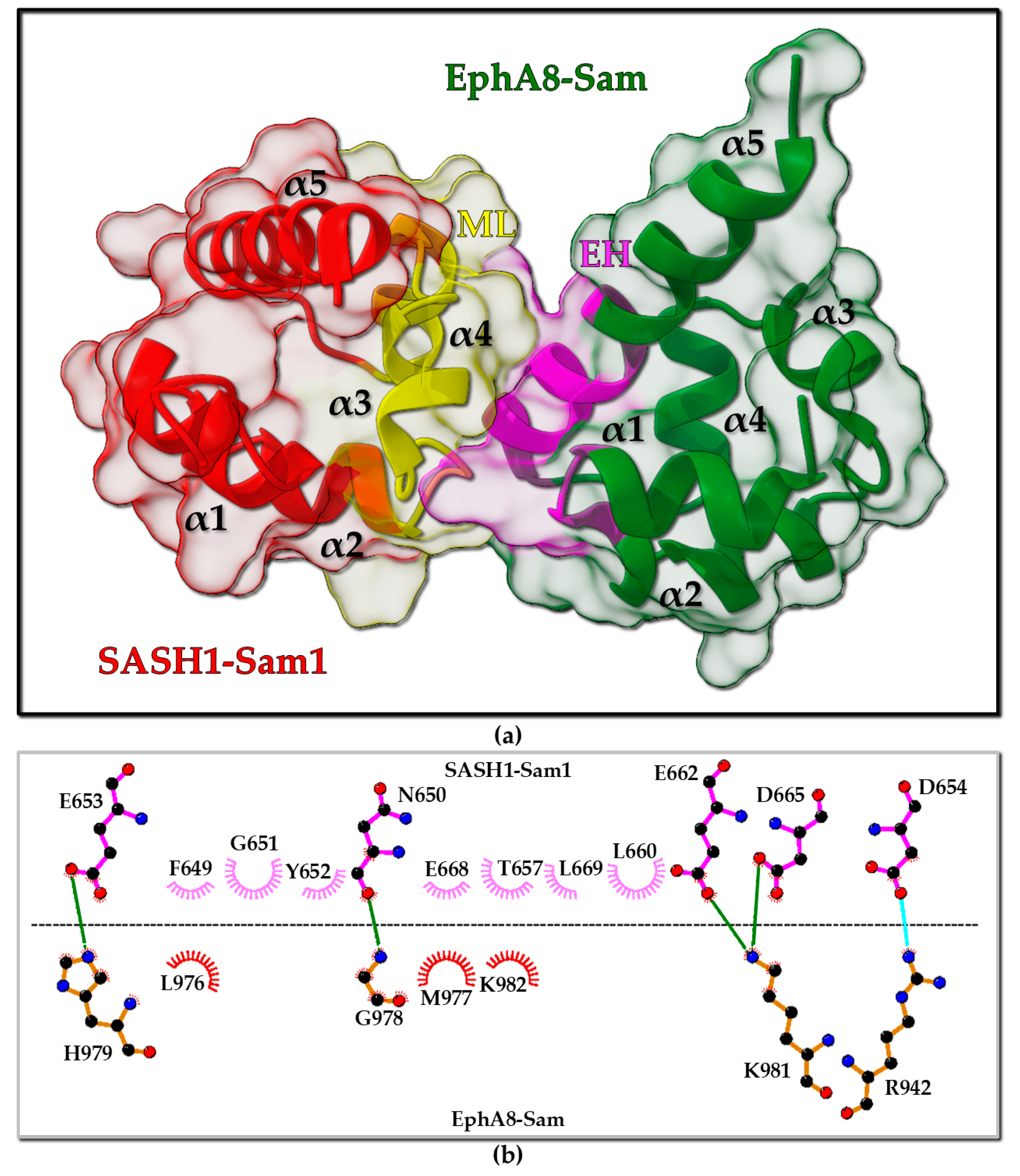 Molecules 30 00718 g001