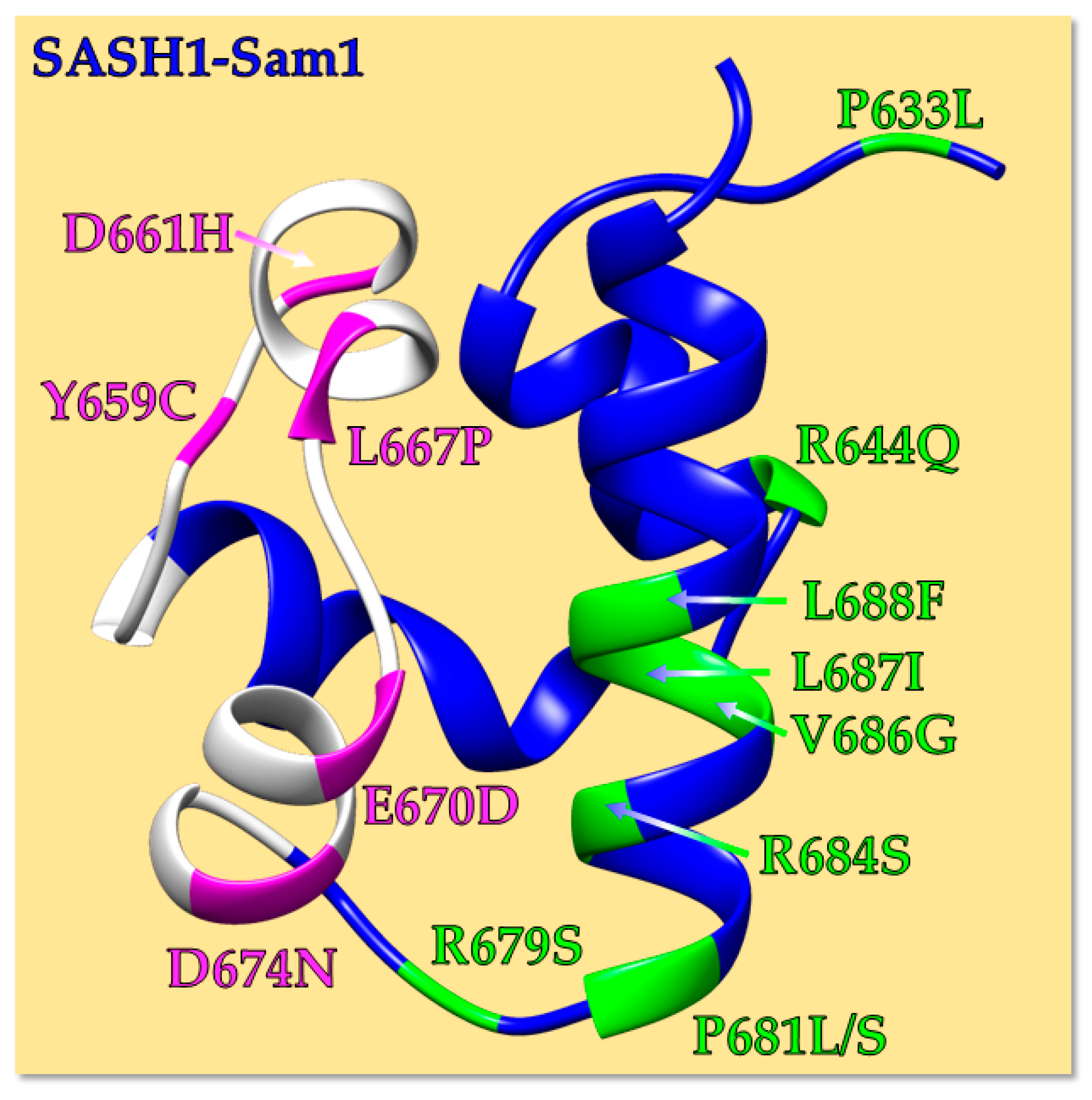 Molecules 30 00718 g004