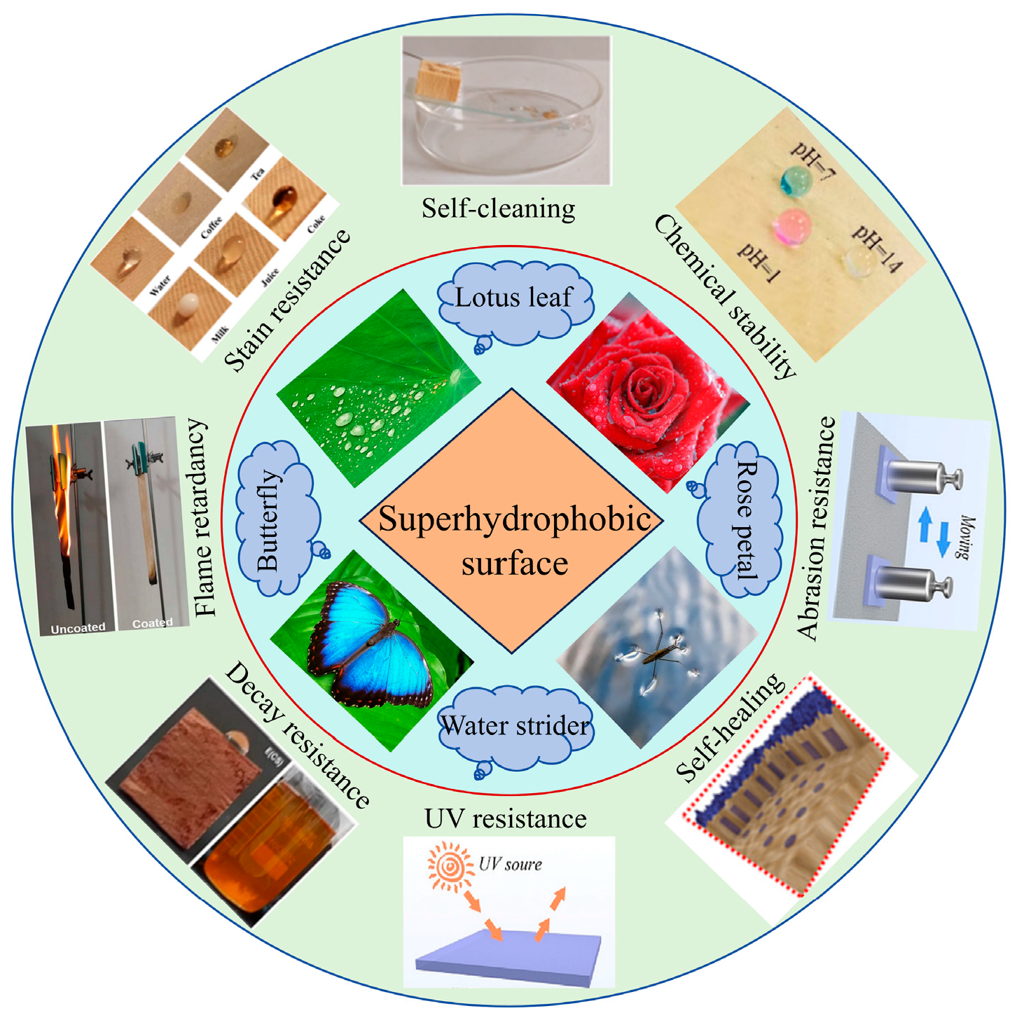 Molecules 30 00719 g001