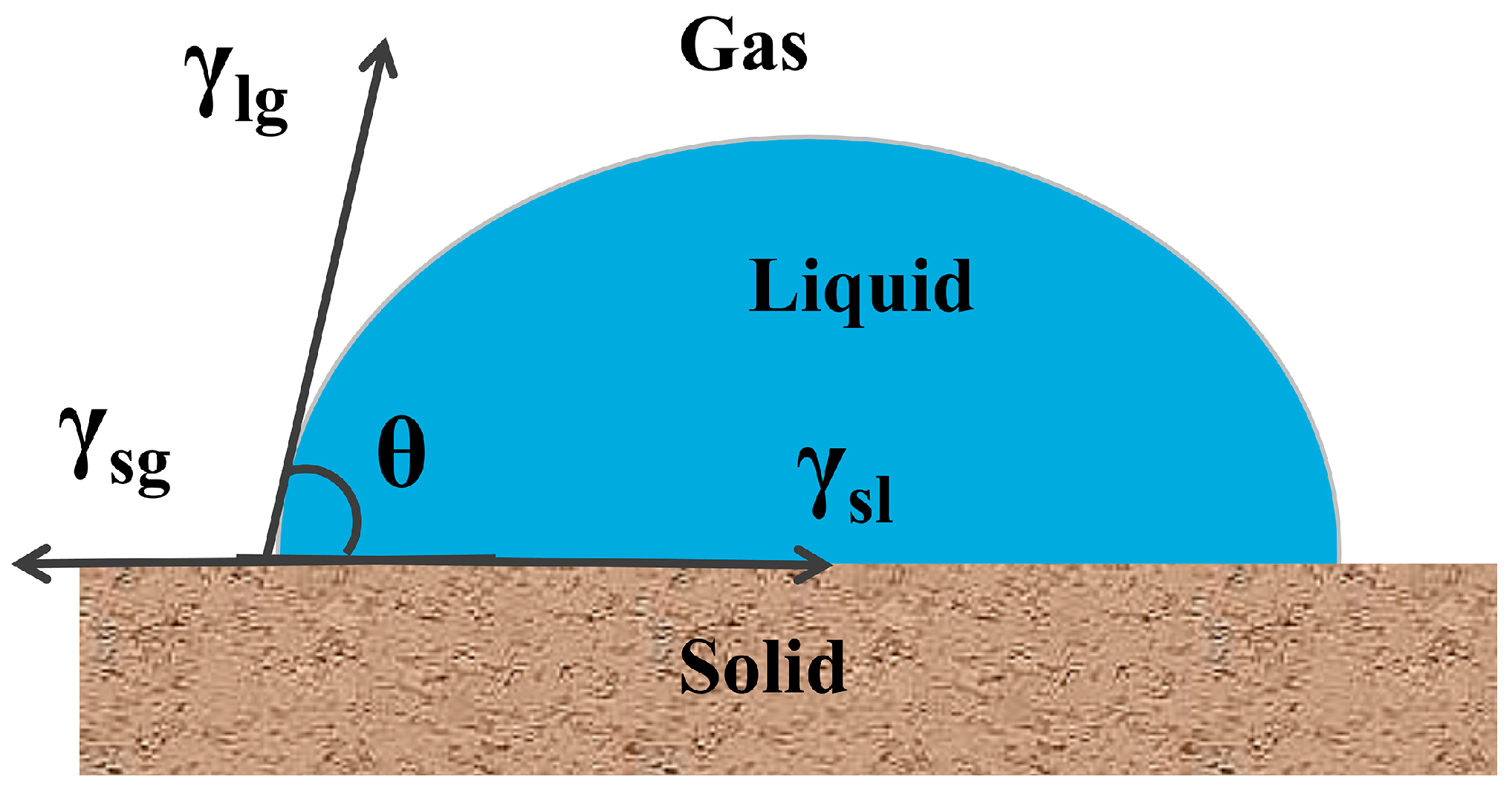 Molecules 30 00719 g002