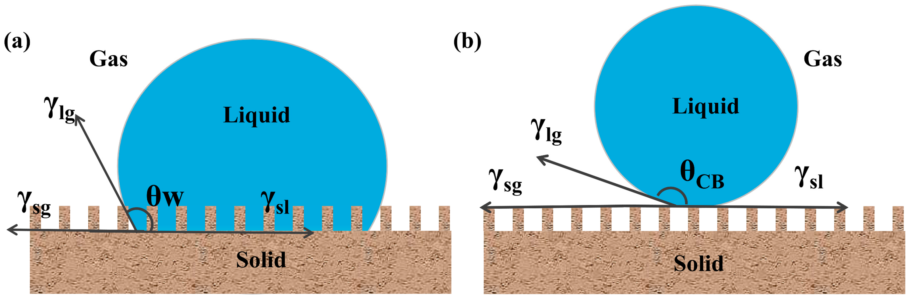 Molecules 30 00719 g003