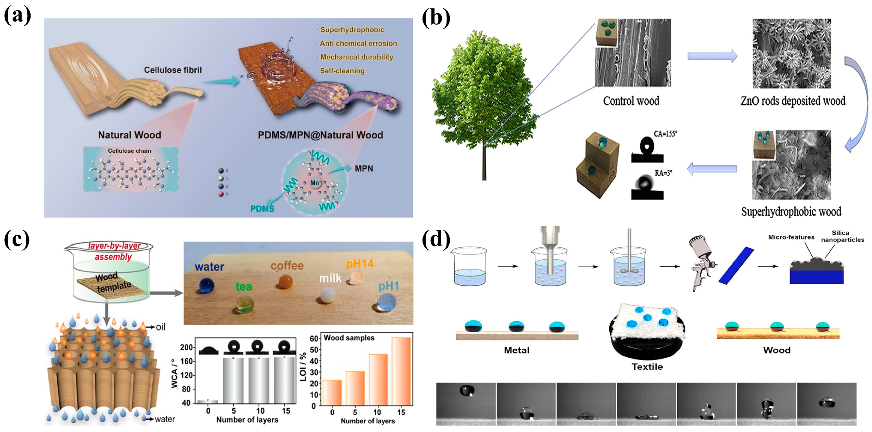 Molecules 30 00719 g004