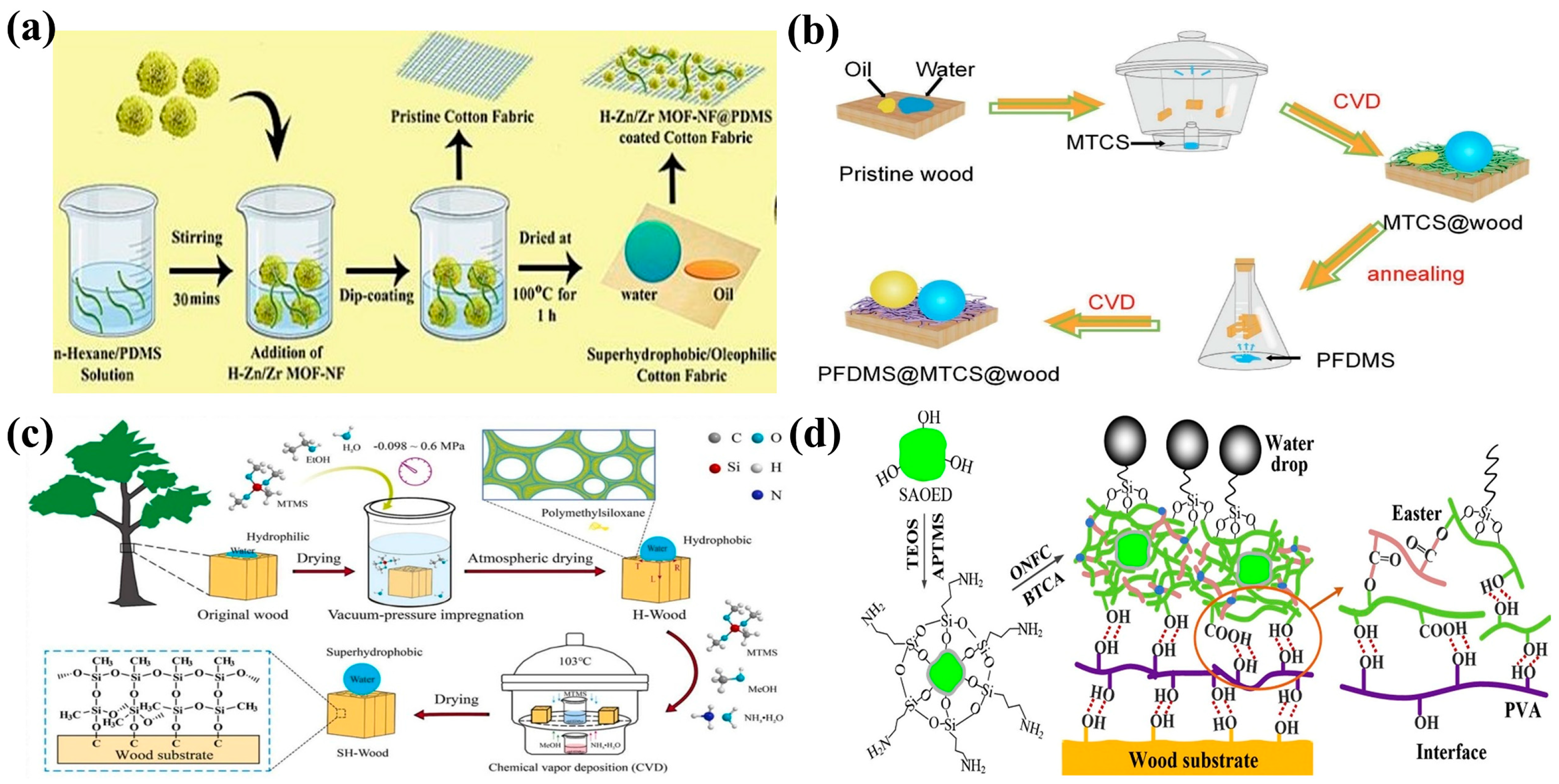 Molecules 30 00719 g005