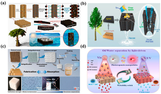 Molecules 30 00719 g006