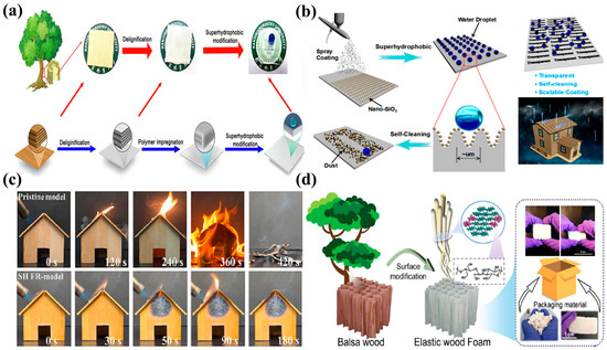 Molecules 30 00719 g007