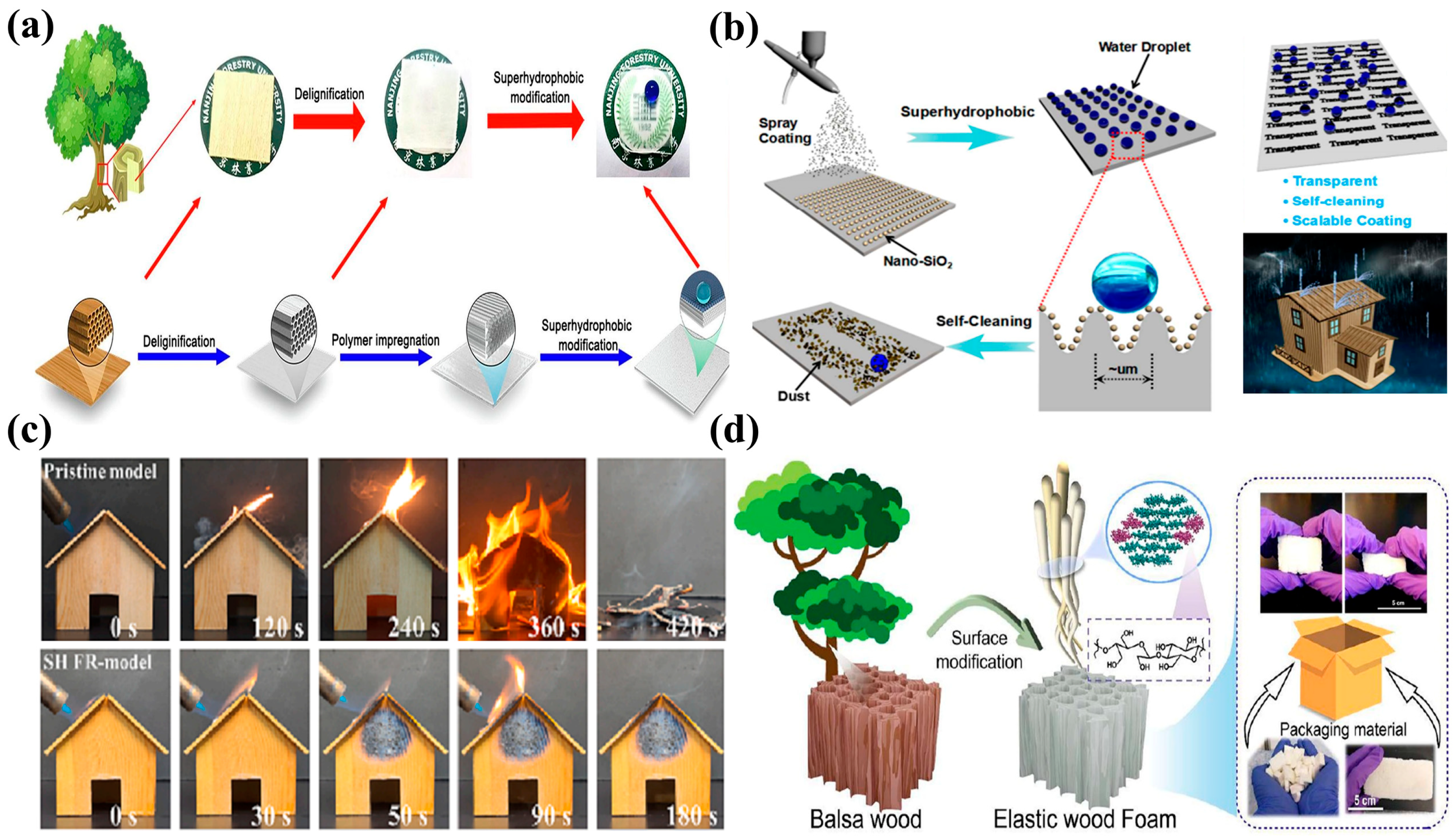Molecules 30 00719 g007