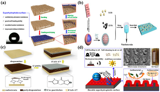 Molecules 30 00719 g008