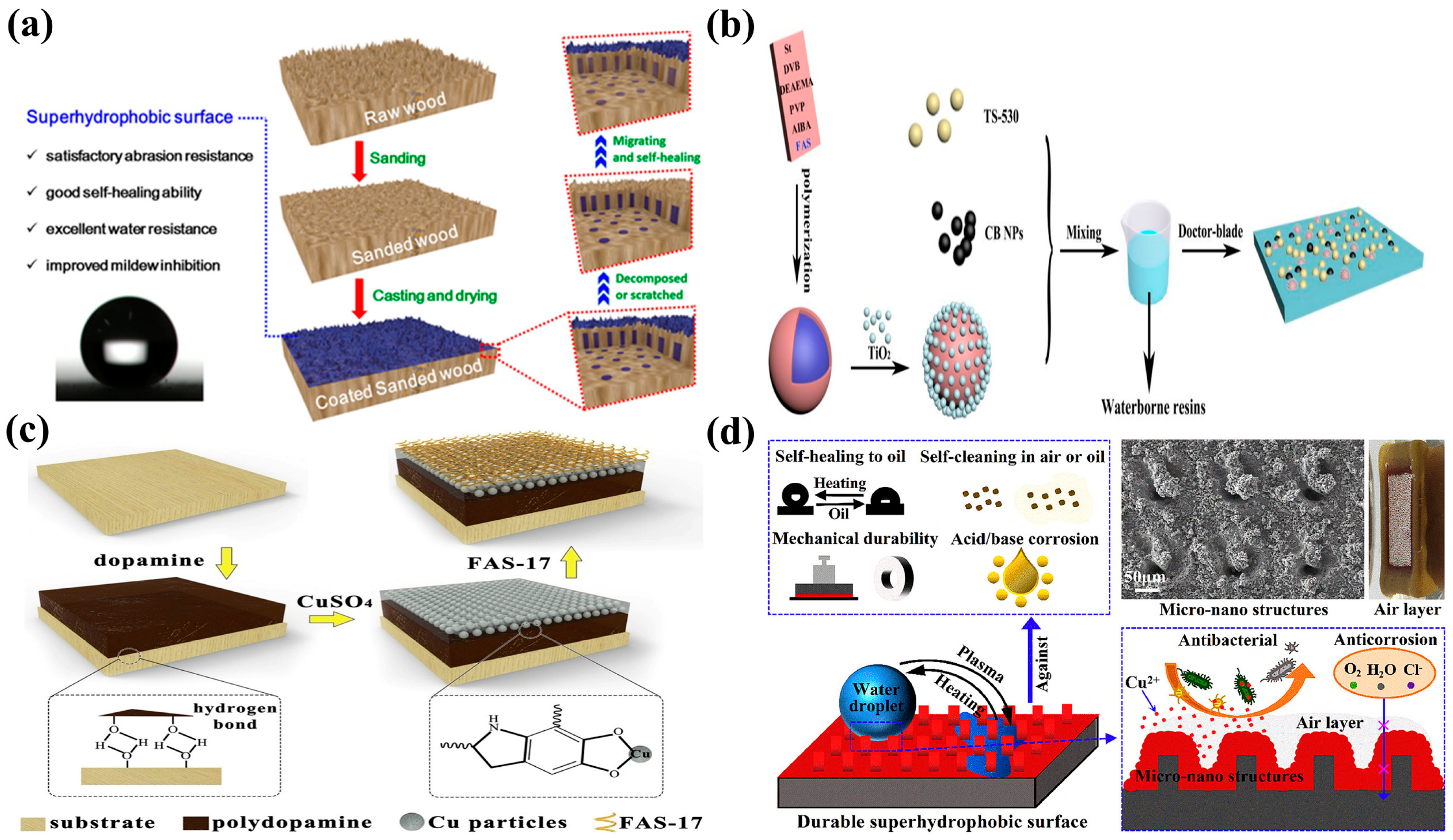Molecules 30 00719 g008