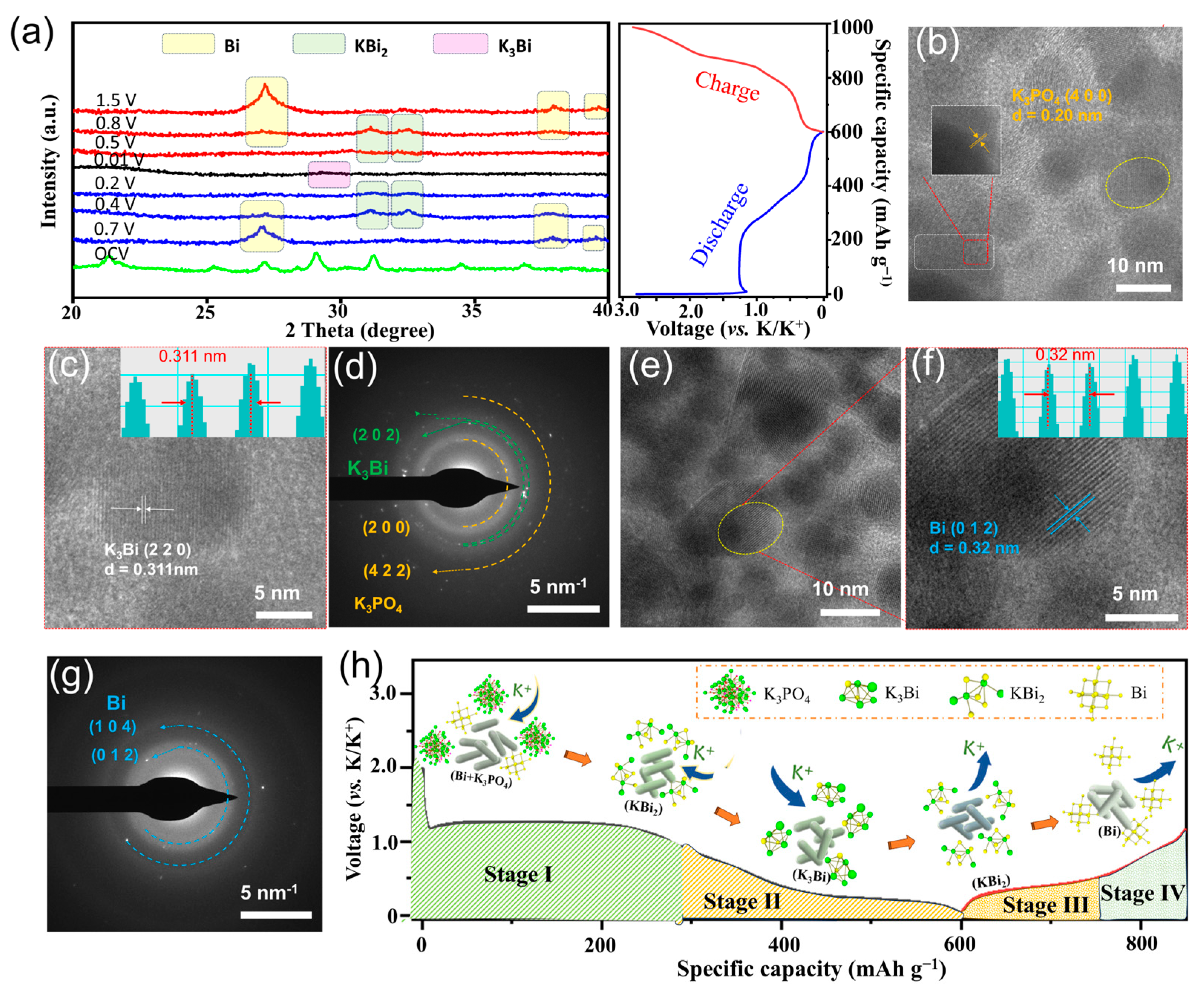 Molecules 30 00729 g005