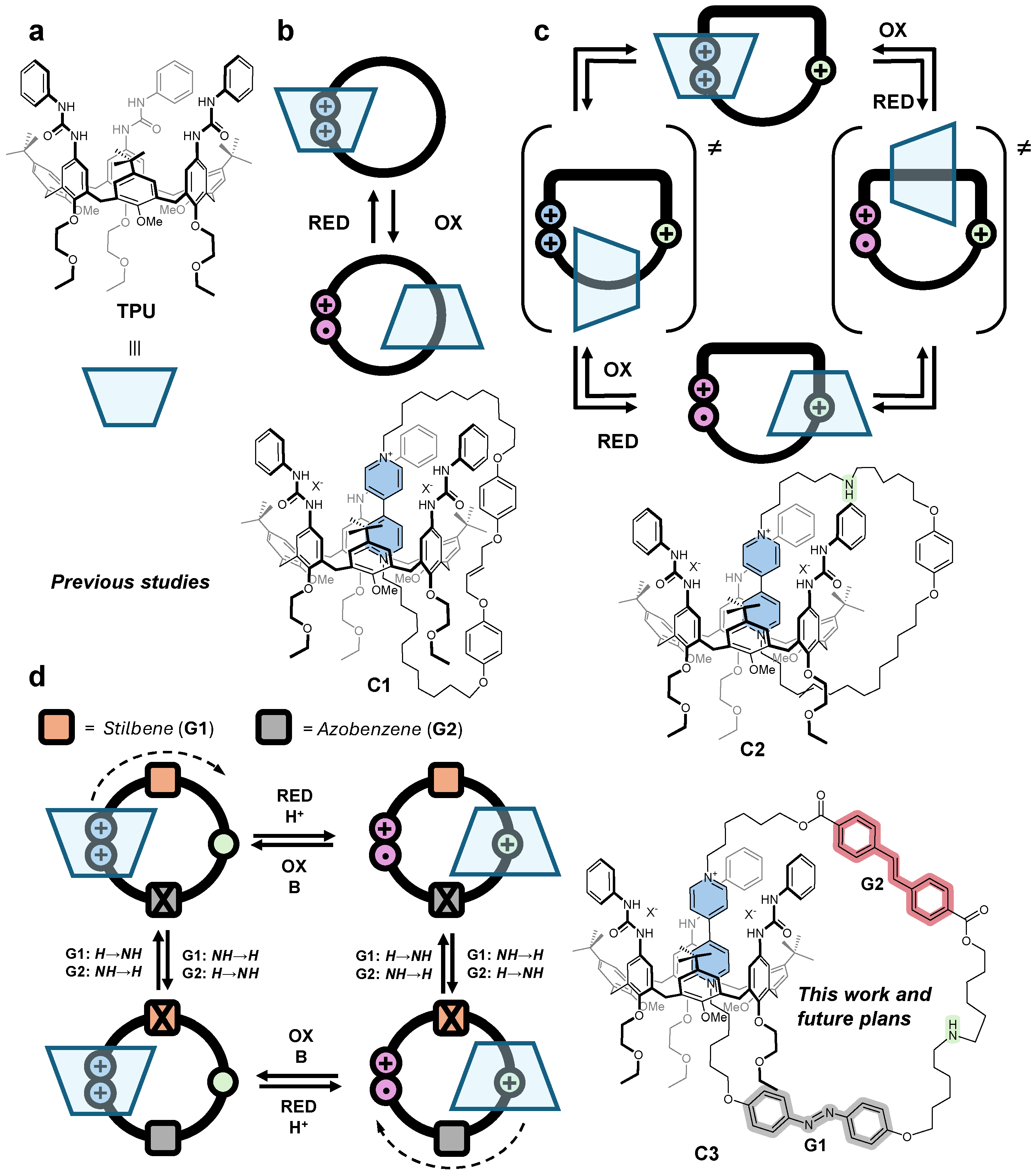Molecules 30 00732 g001