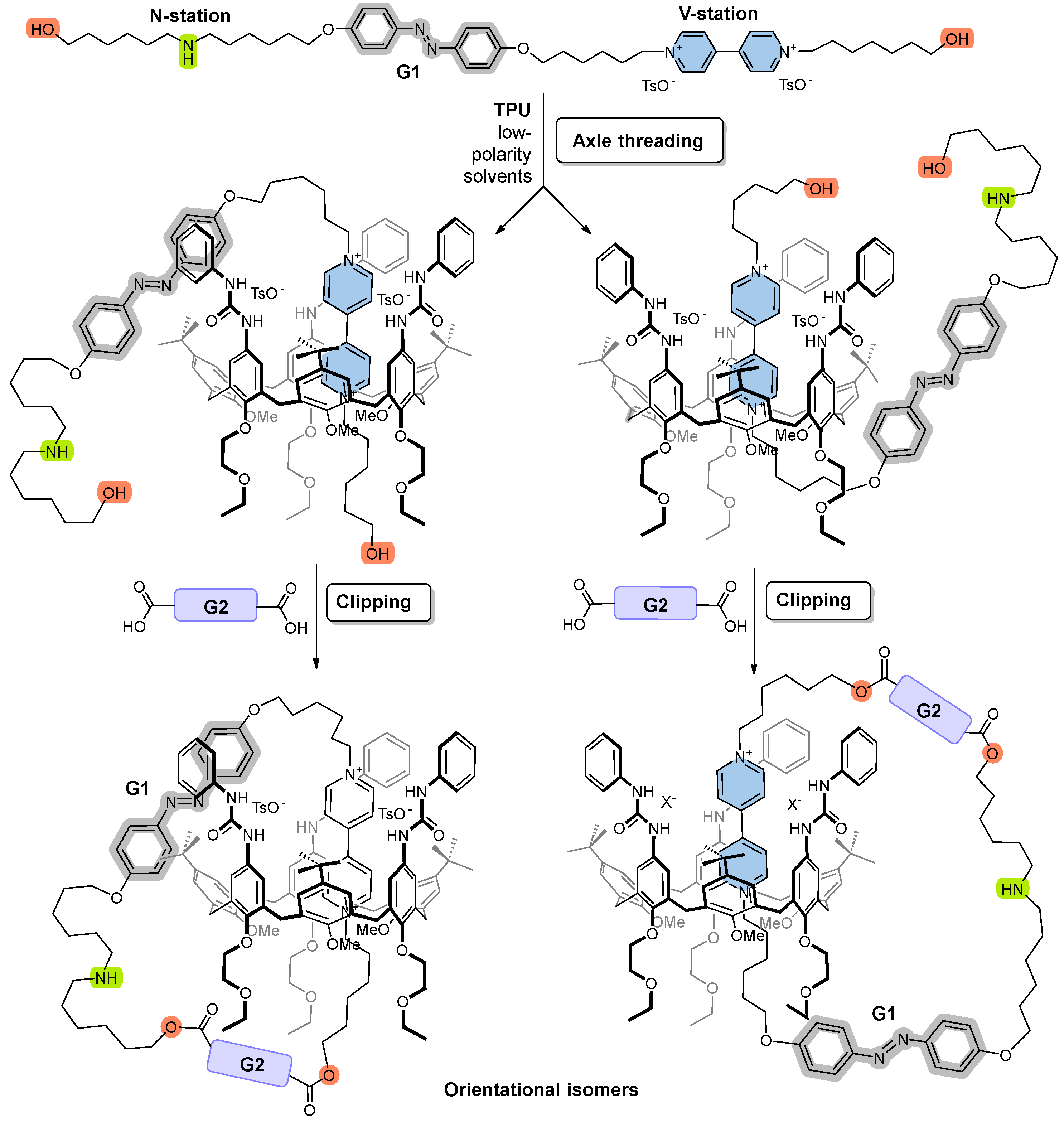 Molecules 30 00732 g002