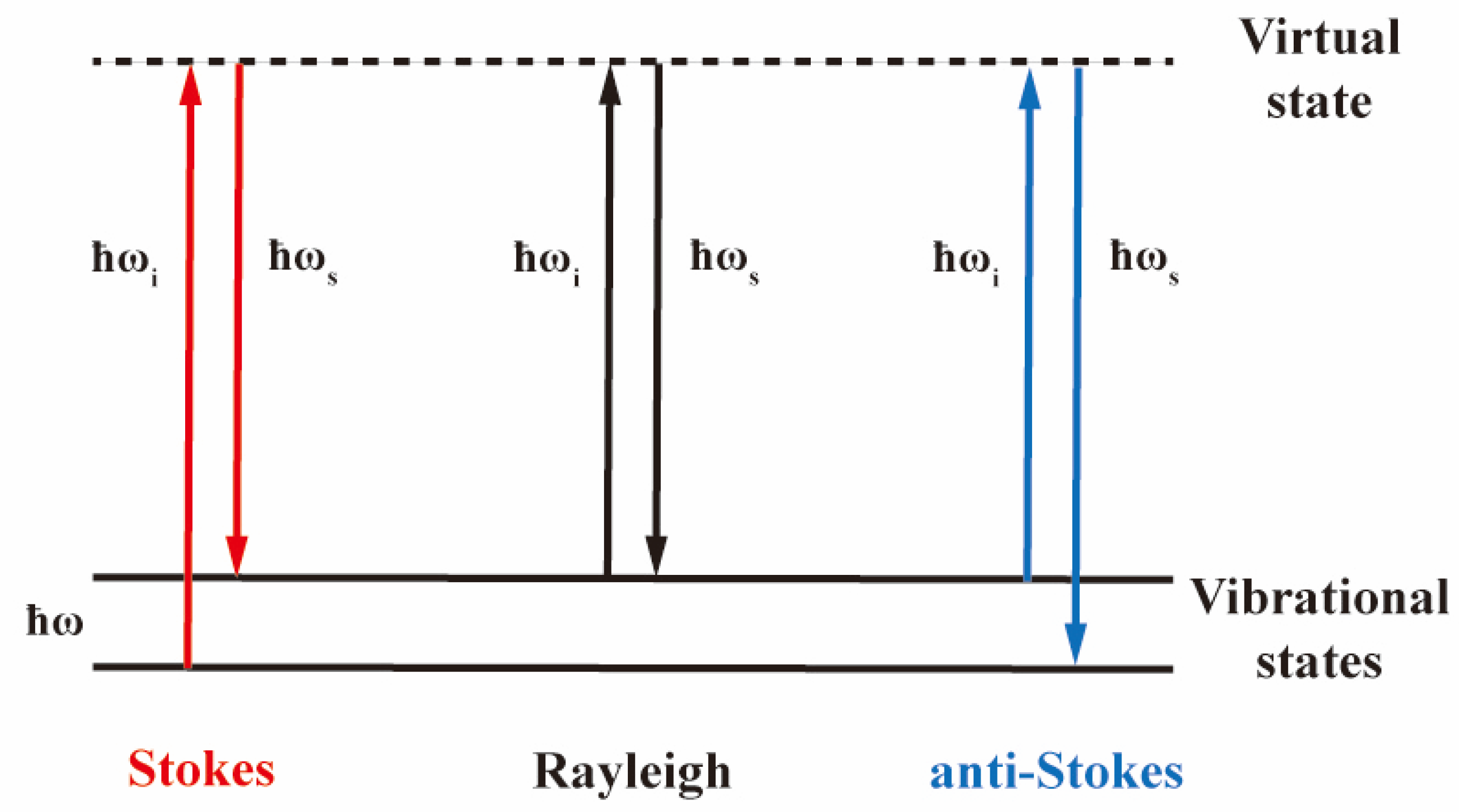 Molecules 30 00738 g002